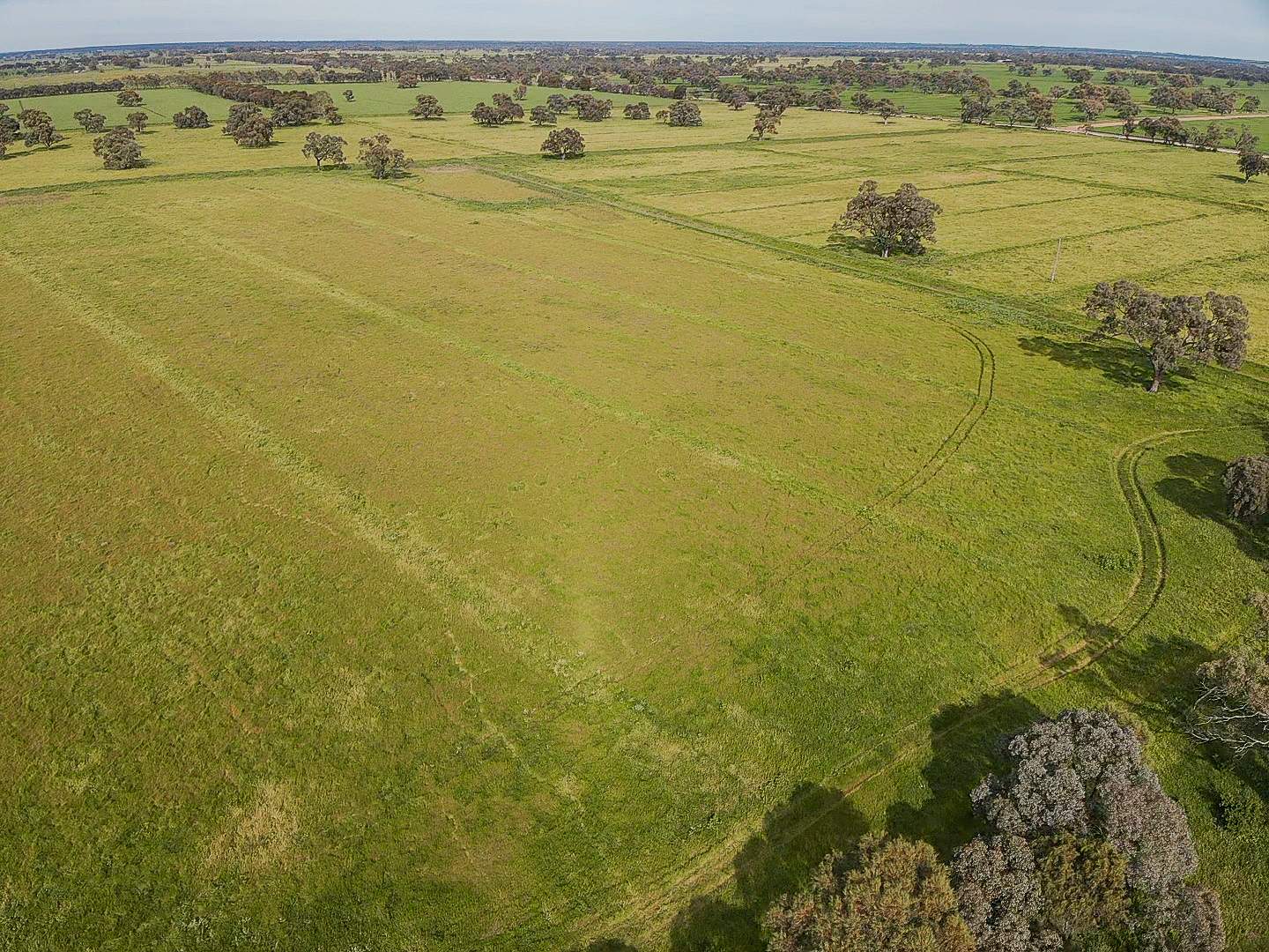 149 Walker Road, Dingwall For Sale by Farmbuy.com - image 7