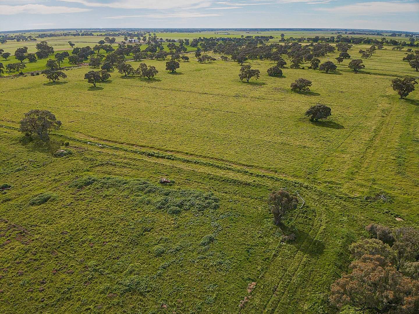 149 Walker Road, Dingwall For Sale by Farmbuy.com - image 9