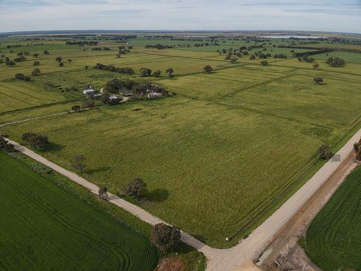 Farm For Sale - VIC - Dingwall - 3579 - For Sale by Expression of Interest 
