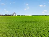 'Watervalley Farm' Broster Road, Maitland For Sale by Ray White Rural South Australia 