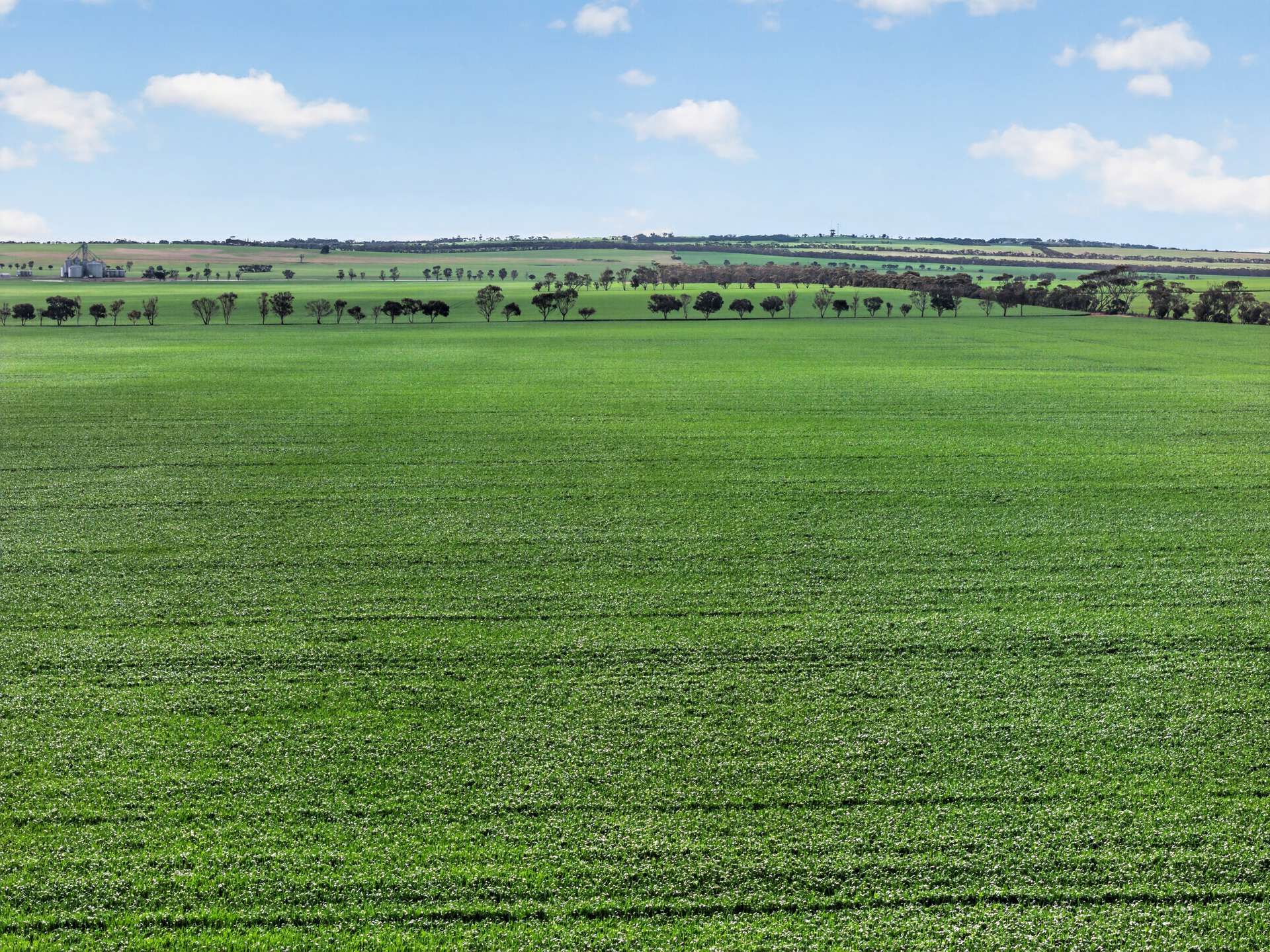 'Watervalley Farm' Broster Road, Maitland For Sale by Farmbuy.com - image 4