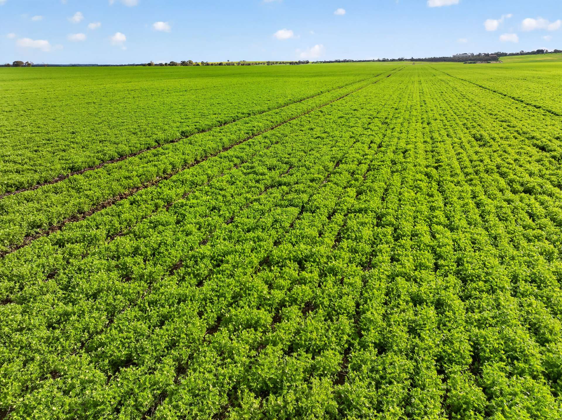 'Watervalley Farm' Broster Road, Maitland For Sale by Farmbuy.com - image 7