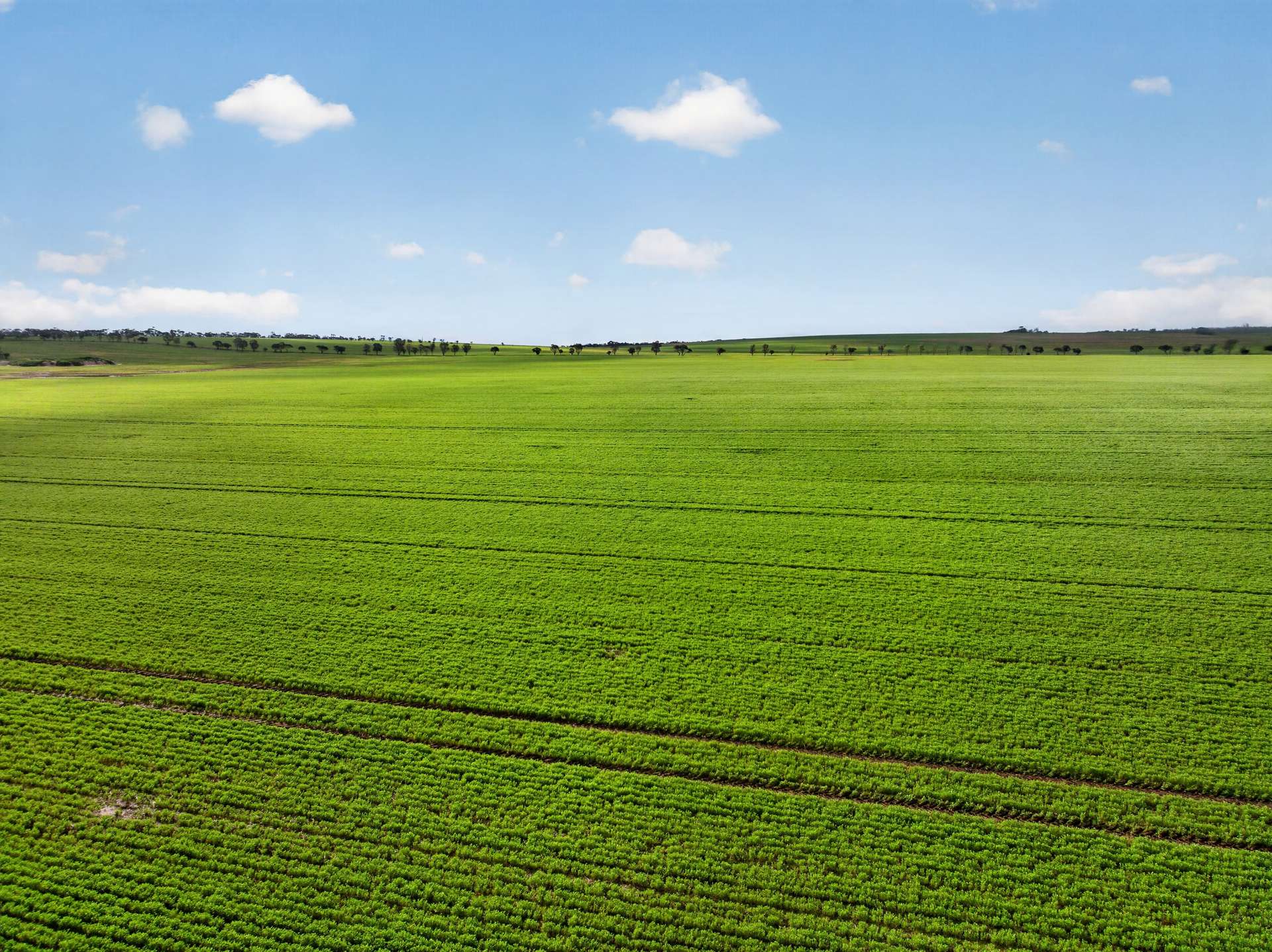 'Watervalley Farm' Broster Road, Maitland For Sale by Farmbuy.com - image 22