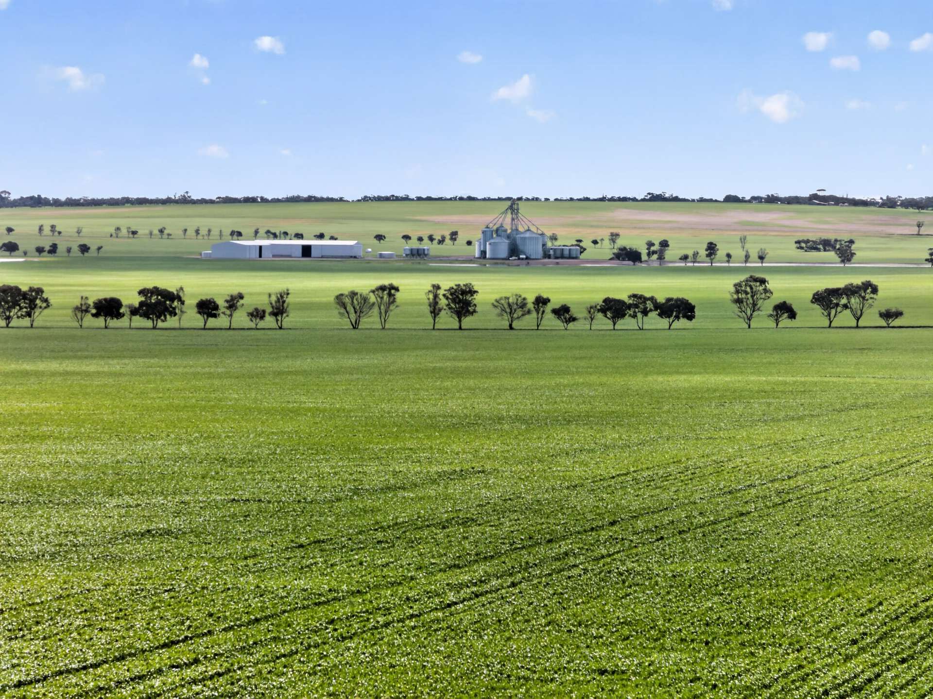 'Watervalley Farm' Broster Road, Maitland For Sale by Farmbuy.com - image 18