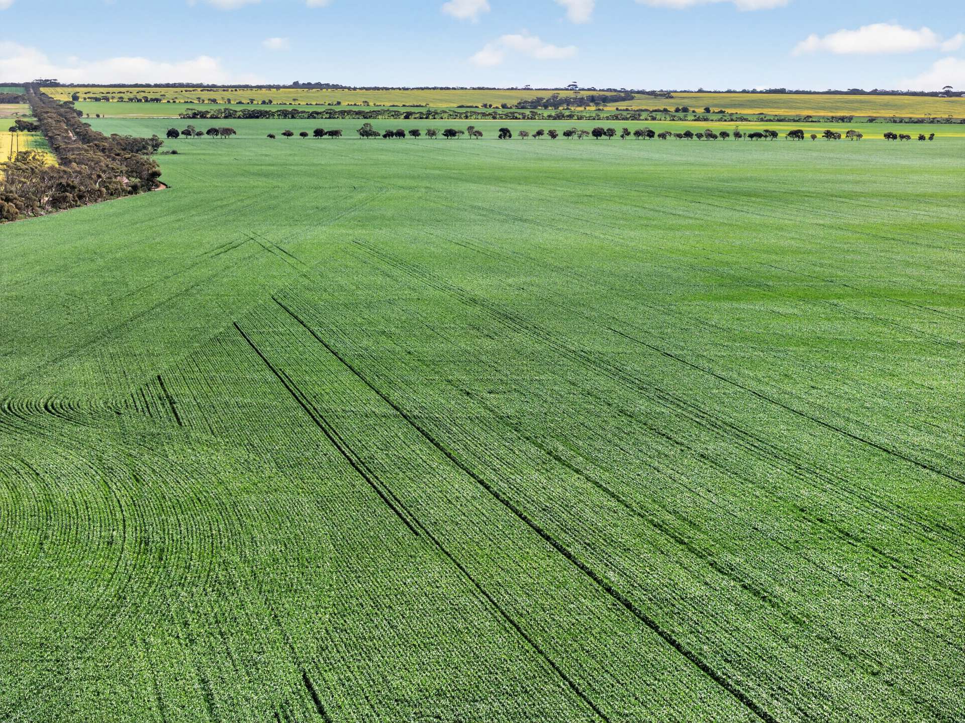 'Watervalley Farm' Broster Road, Maitland For Sale by Farmbuy.com - image 2