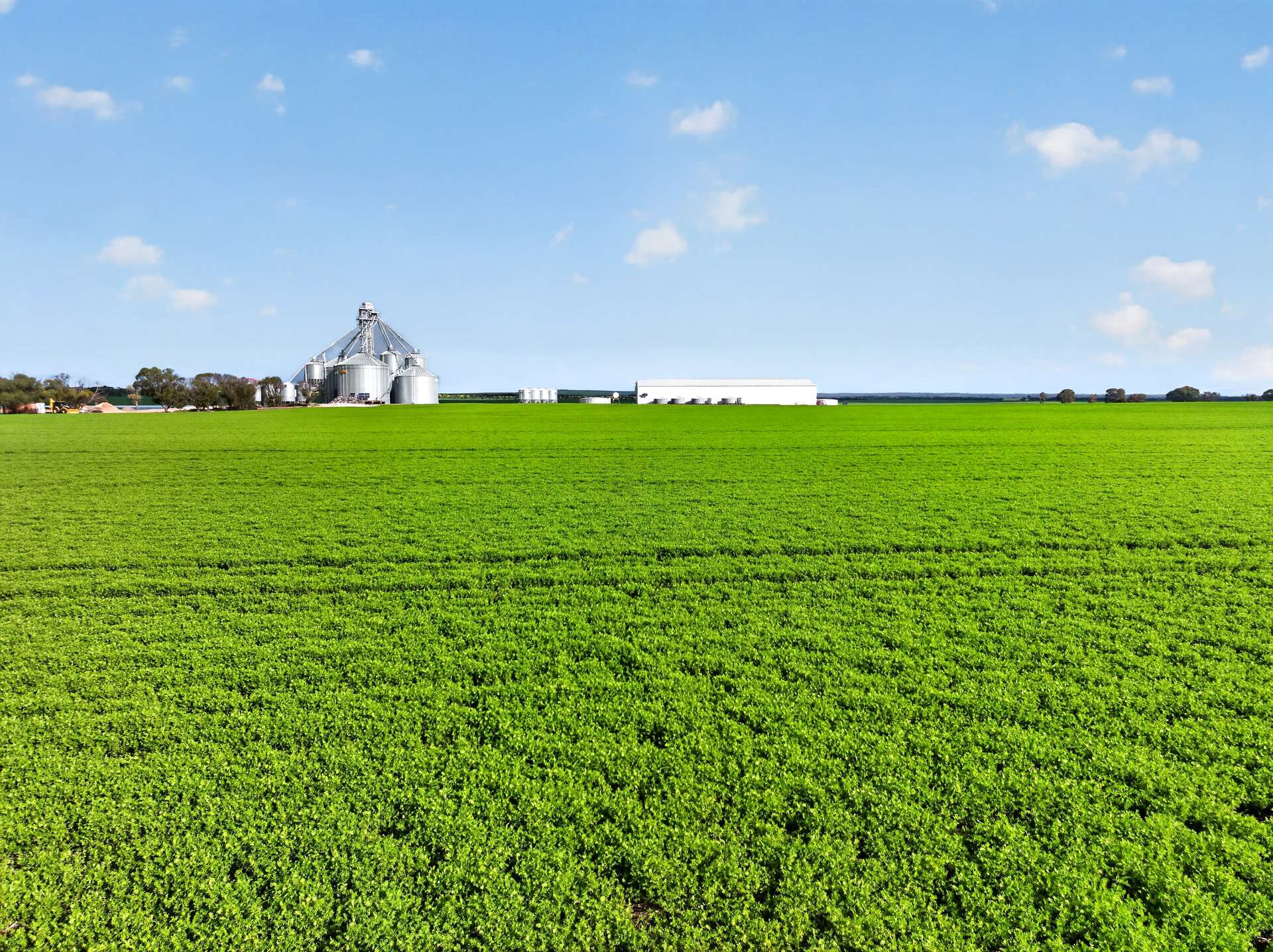 'Watervalley Farm' Broster Road, Maitland For Sale by Farmbuy.com - image 1