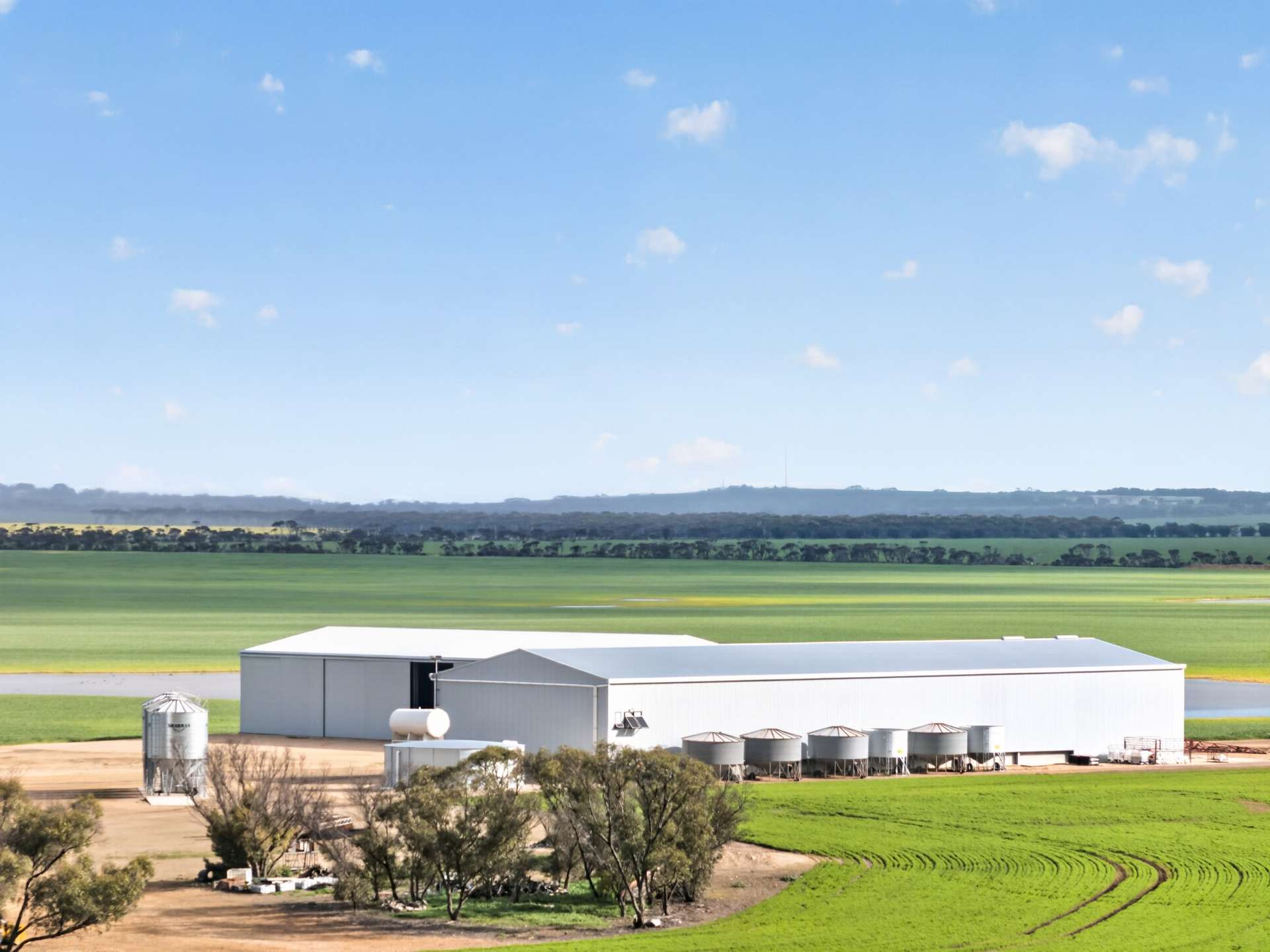 'Watervalley Farm' Broster Road, Maitland For Sale by Farmbuy.com - image 14