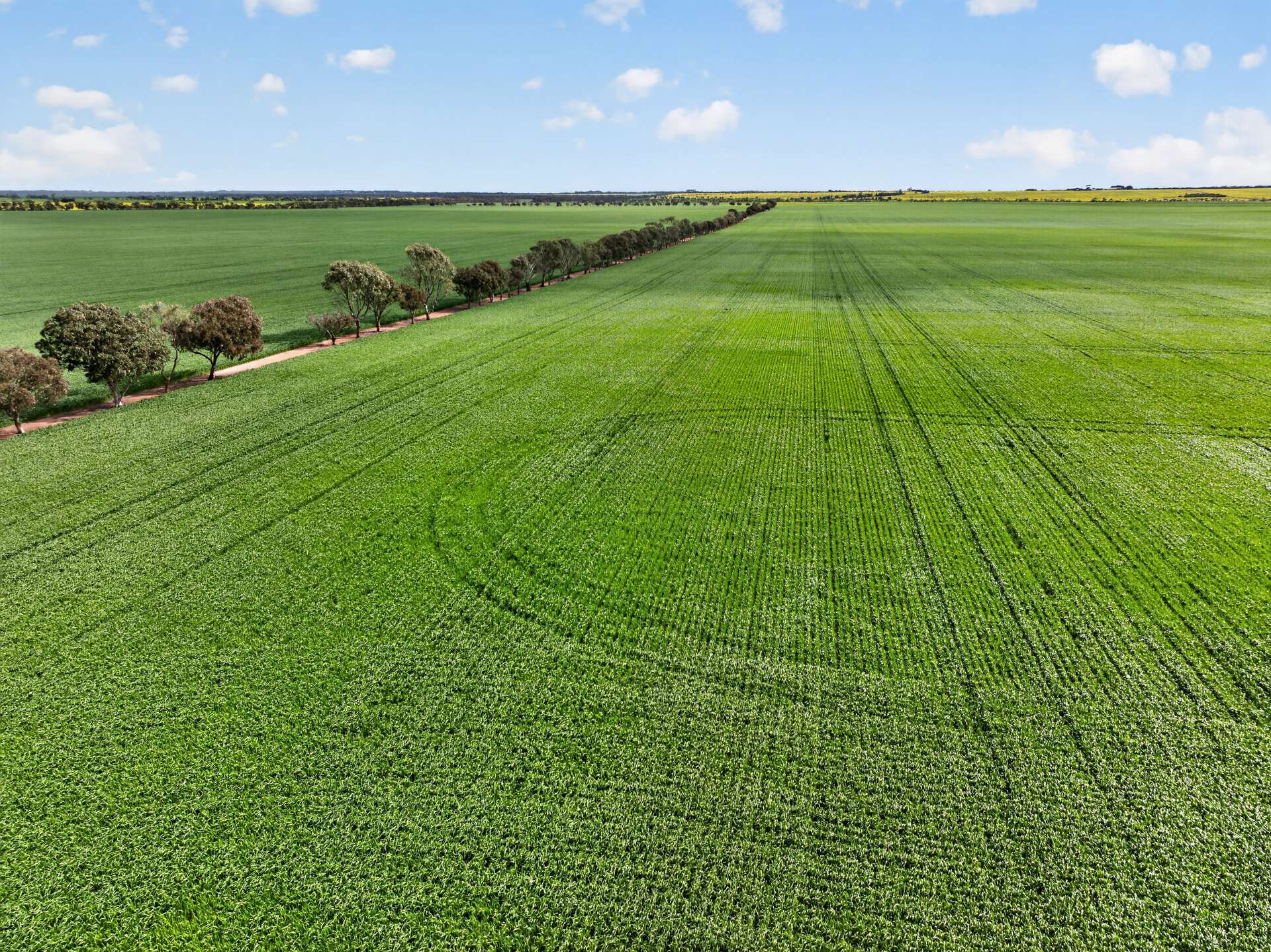 'Watervalley Farm' Broster Road, Maitland For Sale by Farmbuy.com - image 10