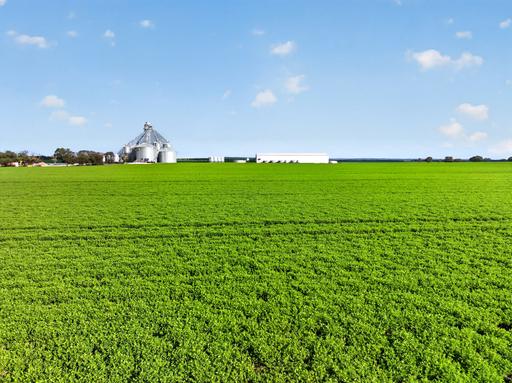 Farm For Sale - SA - Maitland - 5573 - A Landmark Cropping Opportunity with Exceptional Infrastructure 