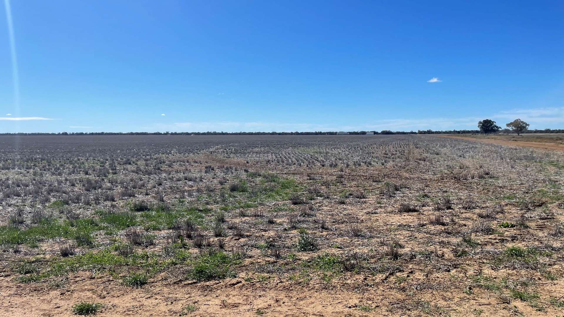 "Yahgunya Cotton" Marthaguy Road, Quambone For Sale by Farmbuy.com - image 12