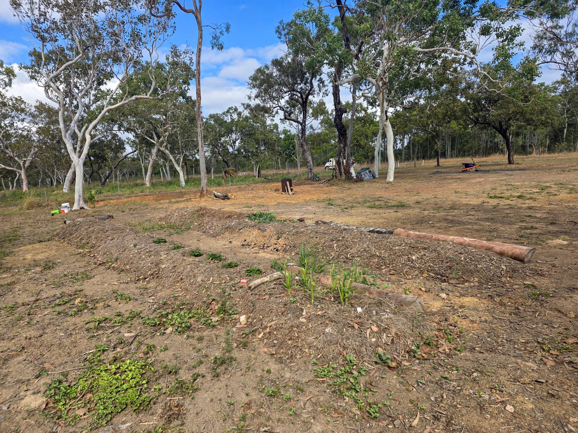 2 Ironwood Avenue, Cooktown For Sale by Farmbuy.com - image 11
