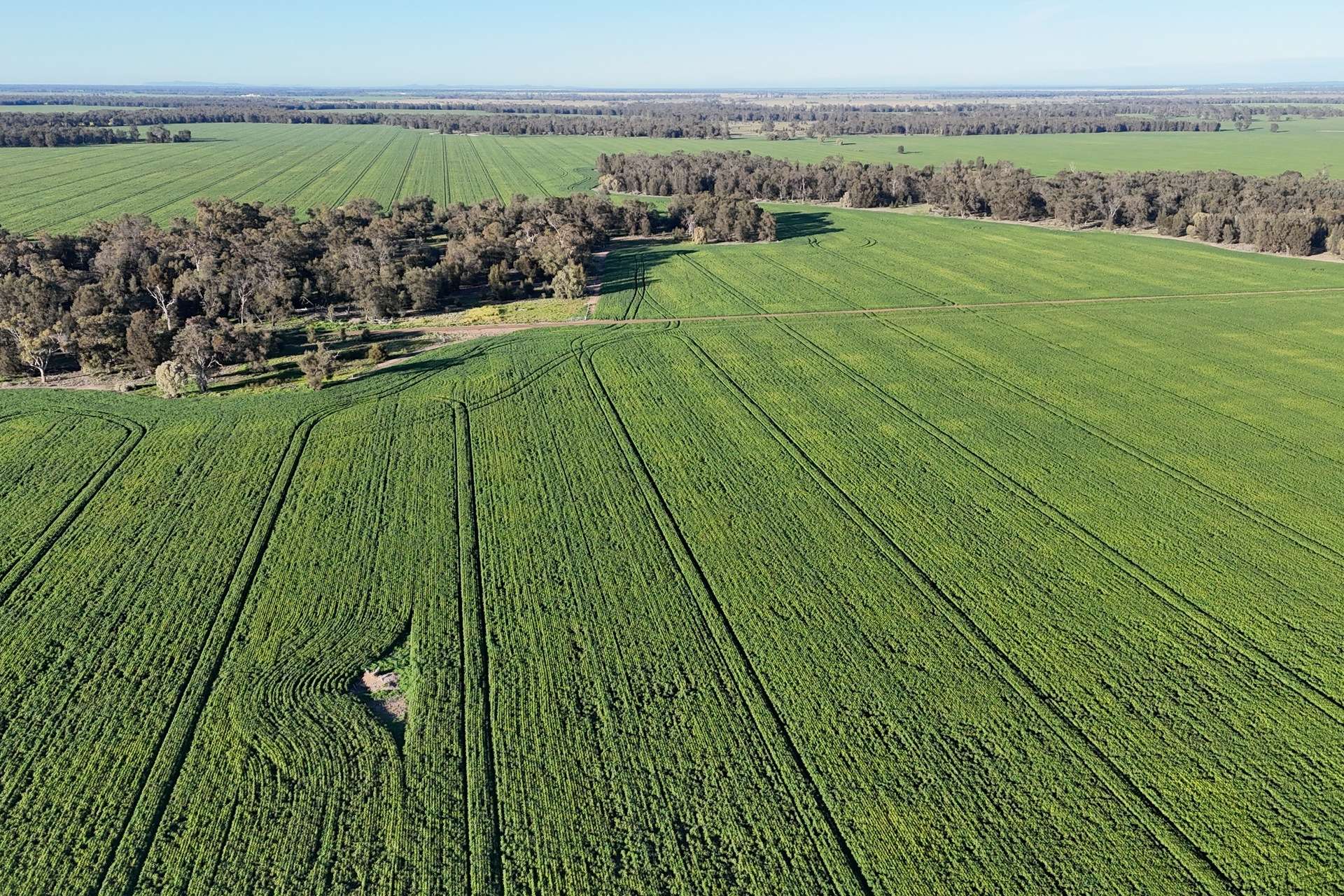 5510 Mid Western Highway, Caragabal For Sale by Farmbuy.com - image 6