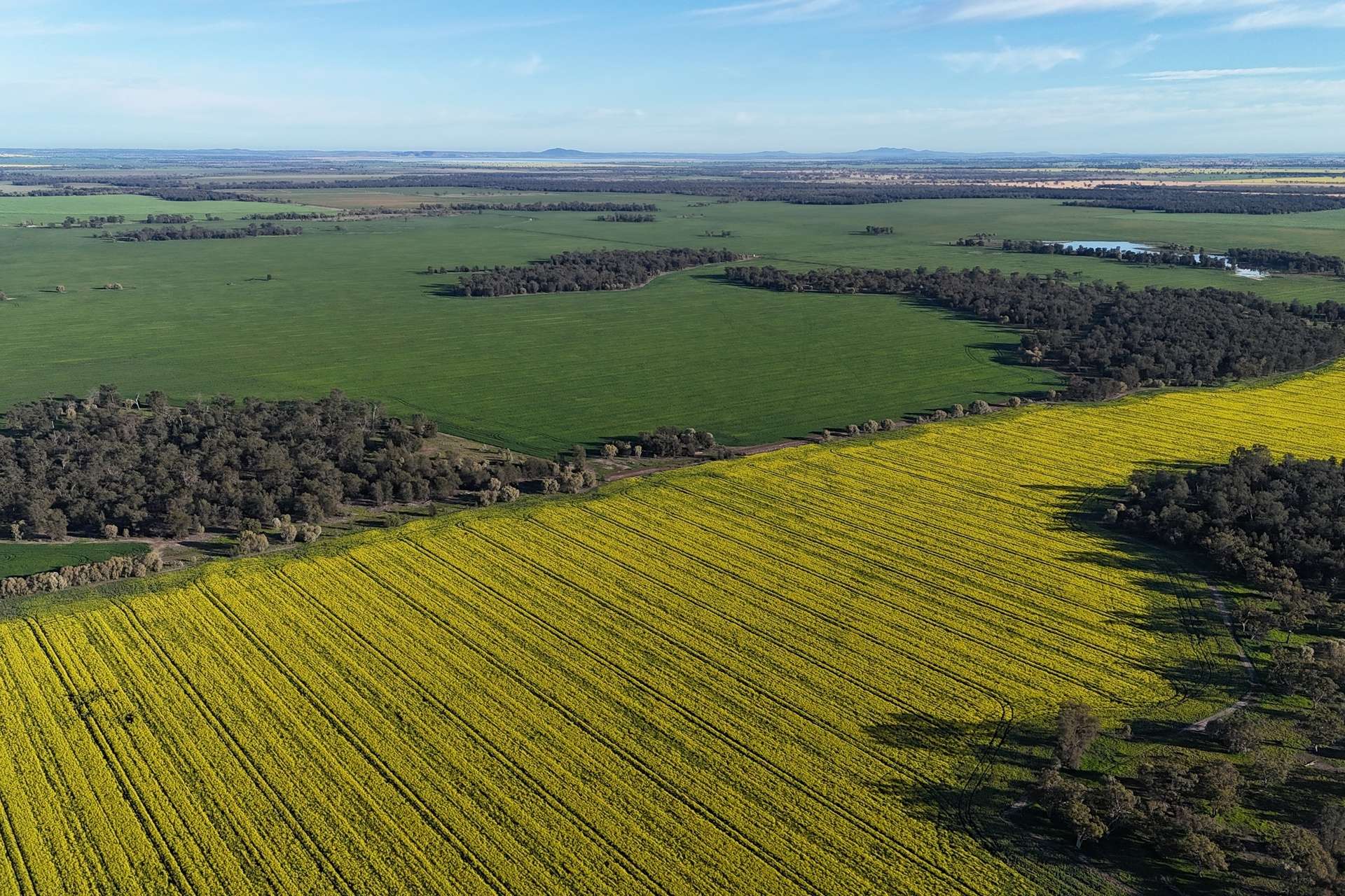 5510 Mid Western Highway, Caragabal For Sale by Farmbuy.com - image 12