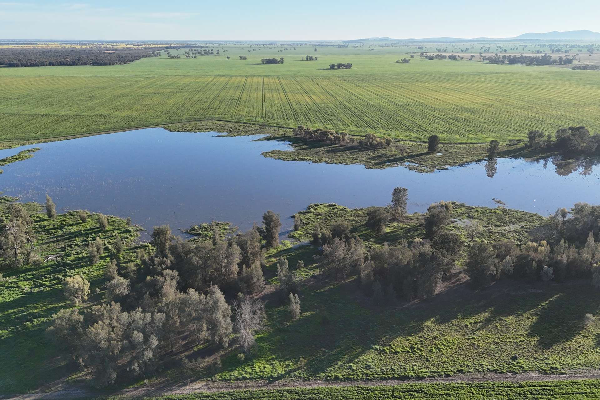 5510 Mid Western Highway, Caragabal For Sale by Farmbuy.com - image 1