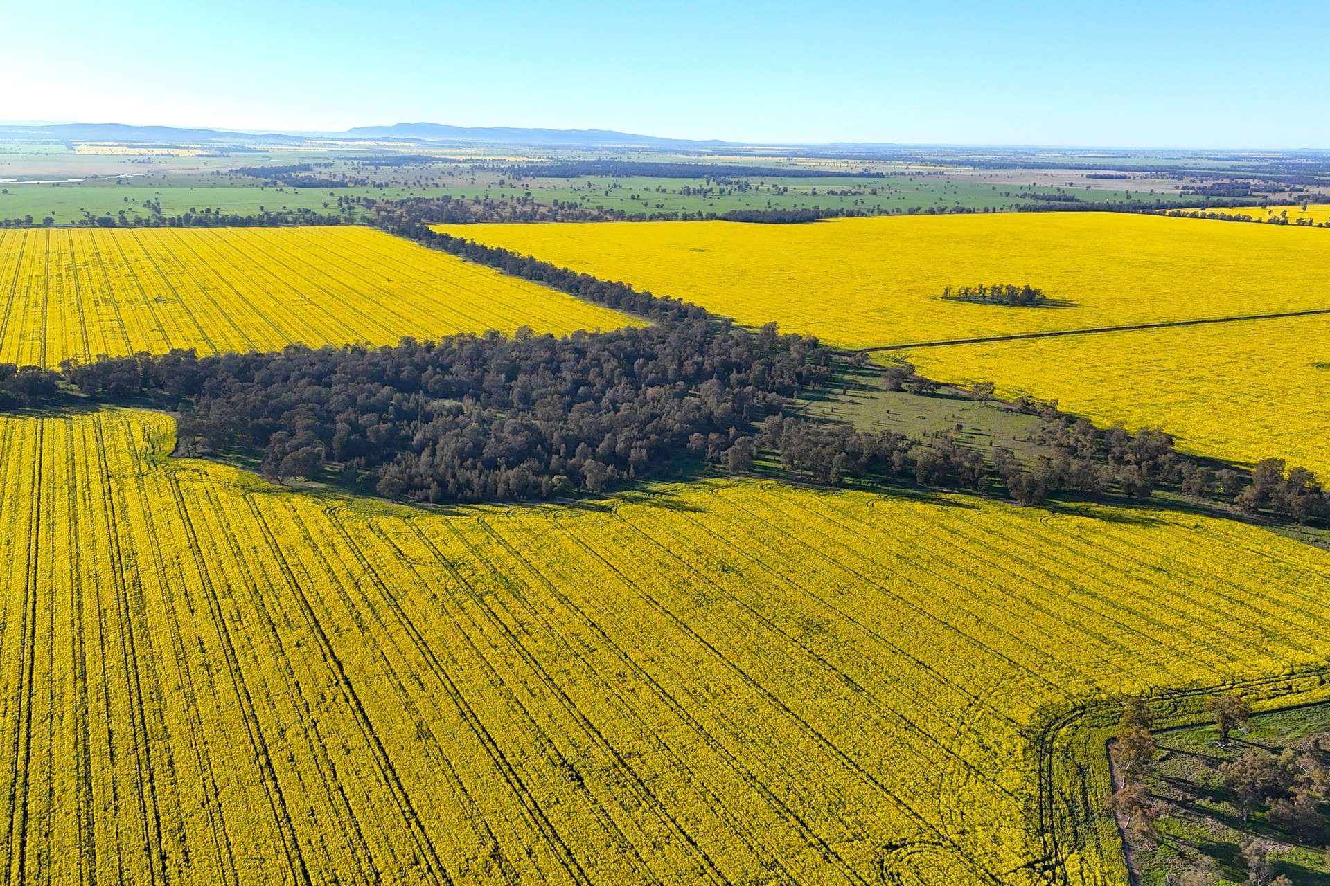 5510 Mid Western Highway, Caragabal For Sale by Farmbuy.com - image 8