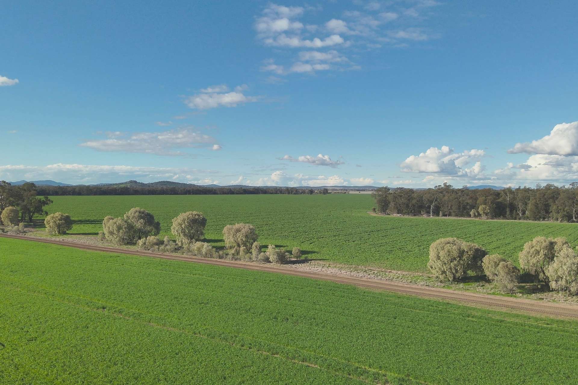 5510 Mid Western Highway, Caragabal For Sale by Farmbuy.com - image 20
