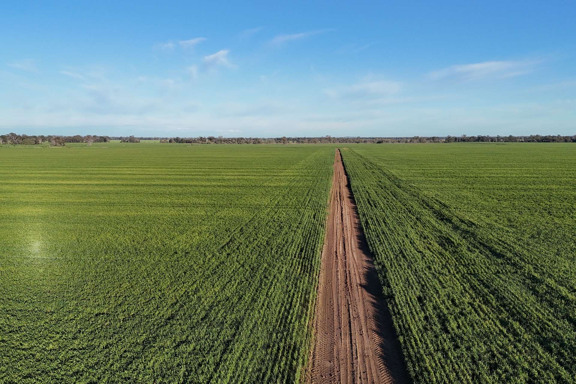 5510 Mid Western Highway, Caragabal For Sale by Farmbuy.com - image 4
