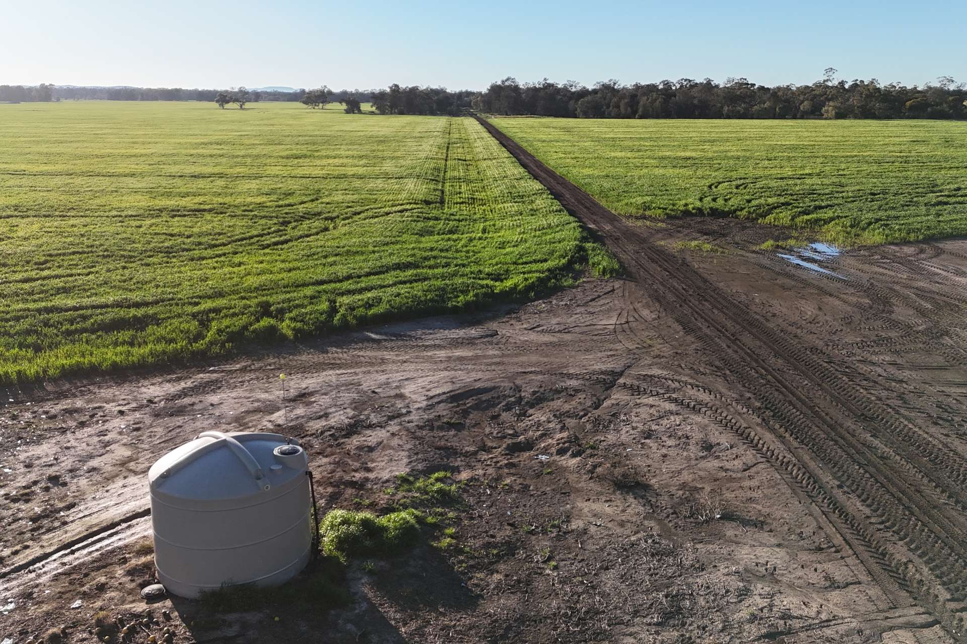 5510 Mid Western Highway, Caragabal For Sale by Farmbuy.com - image 11