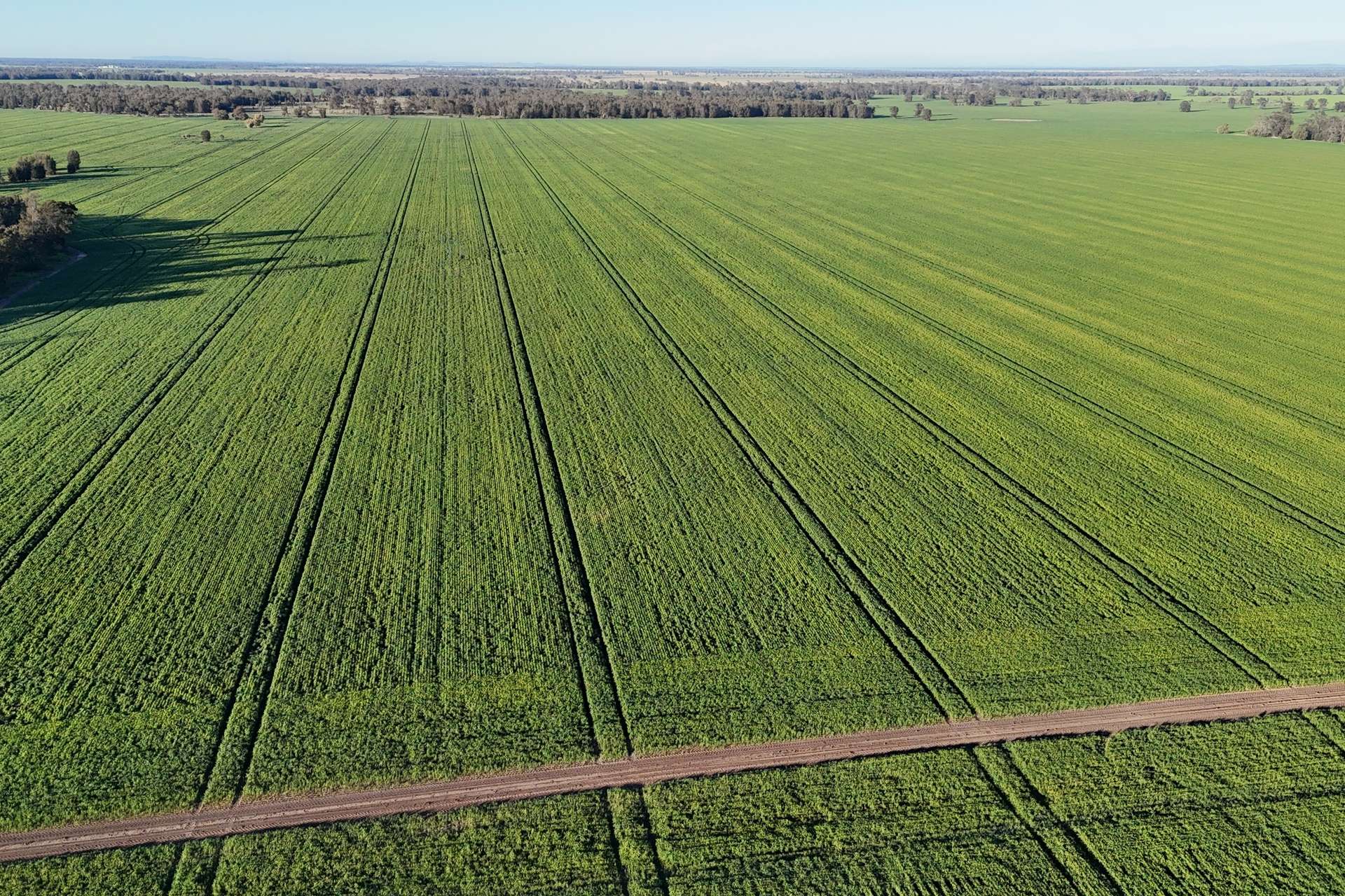 5510 Mid Western Highway, Caragabal For Sale by Farmbuy.com - image 2
