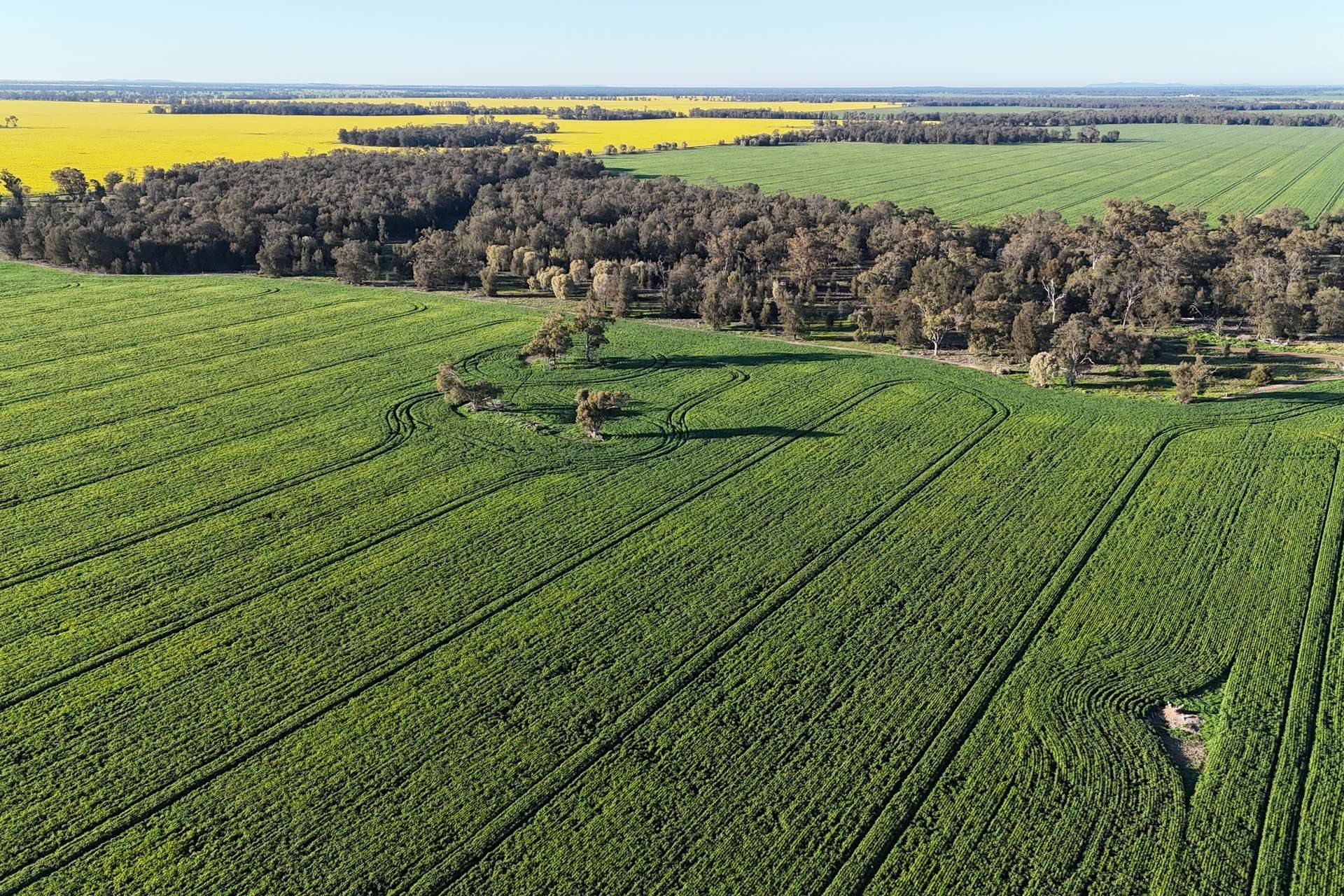 5510 Mid Western Highway, Caragabal For Sale by Farmbuy.com - image 5