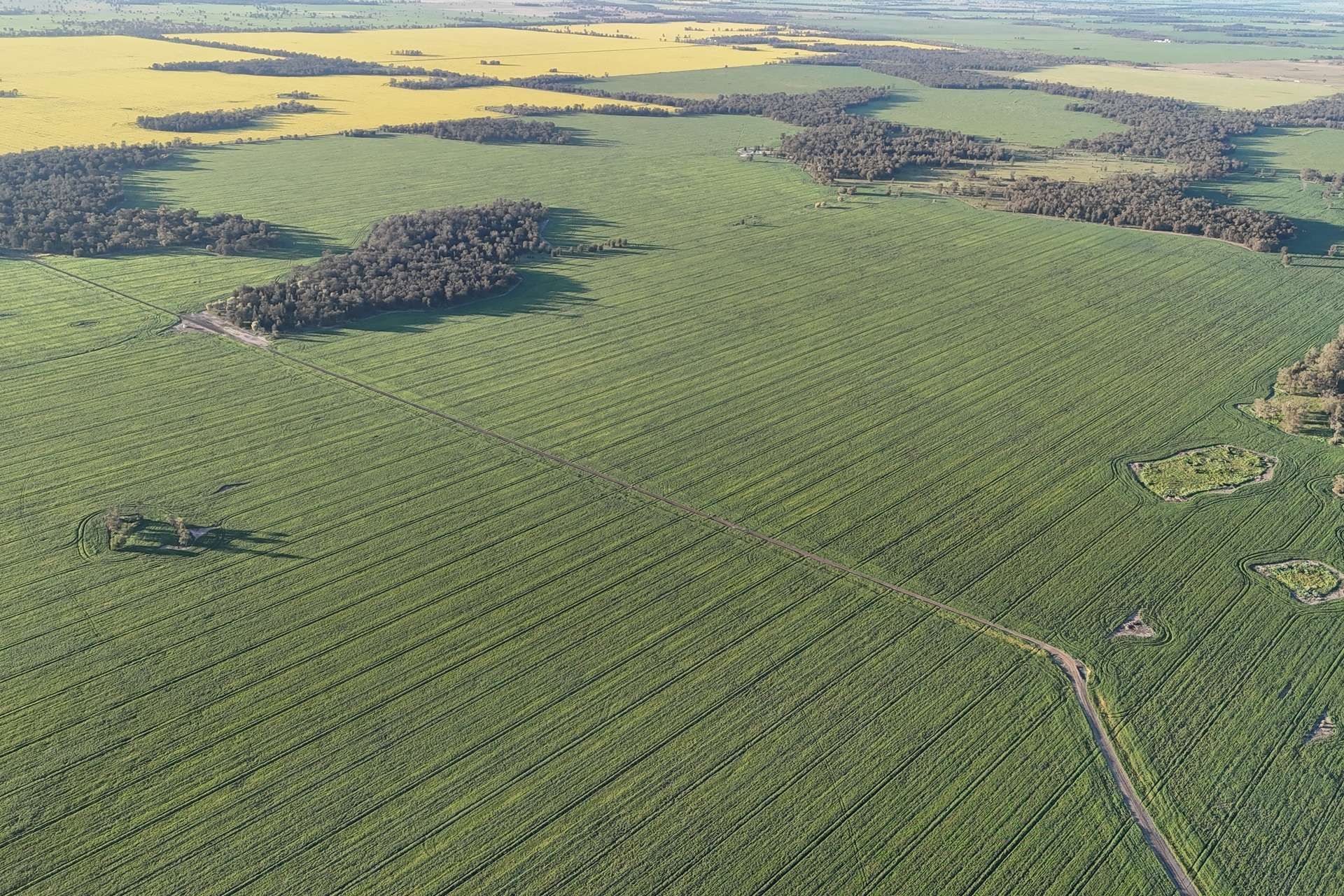 5510 Mid Western Highway, Caragabal For Sale by Farmbuy.com - image 3
