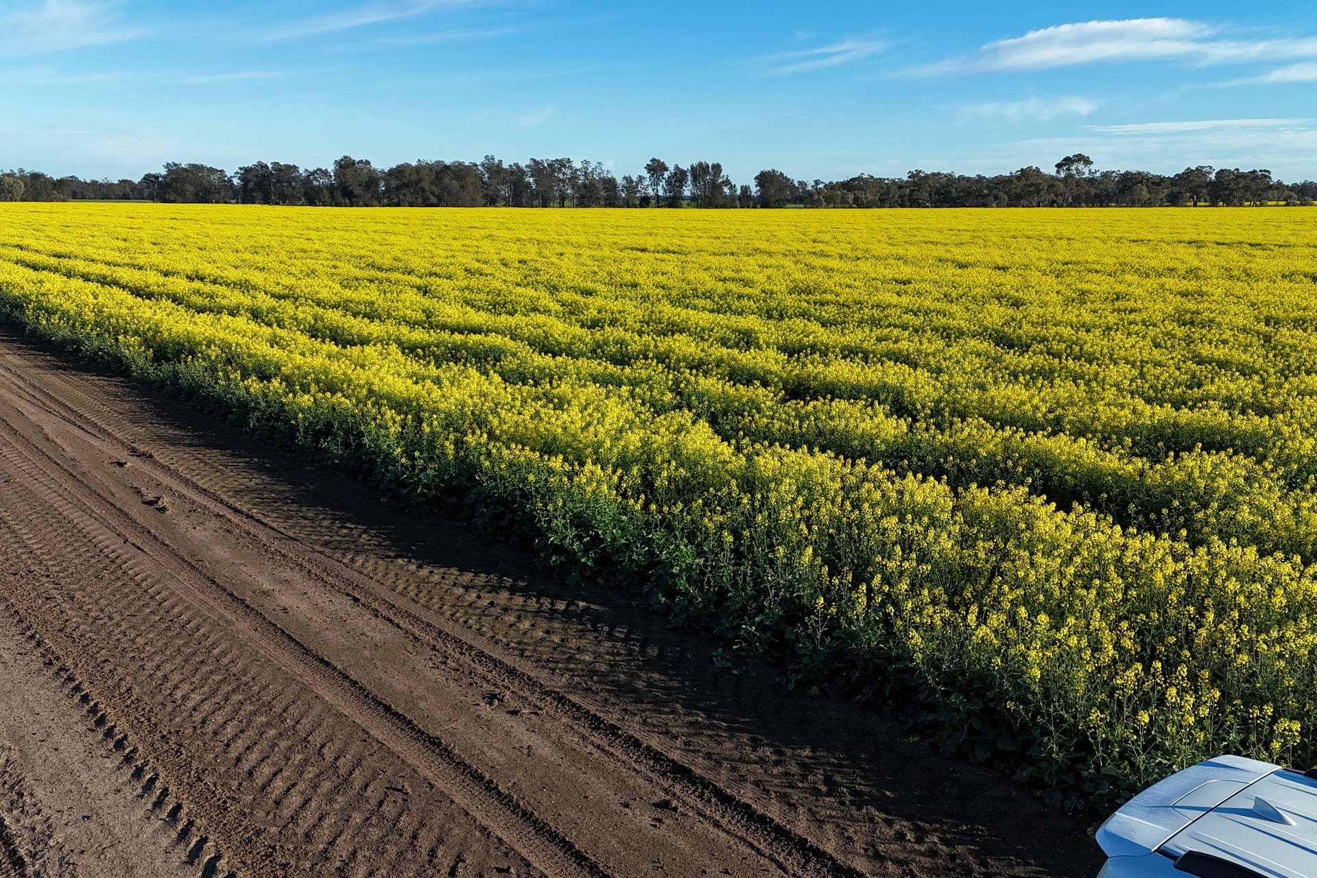 5510 Mid Western Highway, Caragabal For Sale by Farmbuy.com - image 13