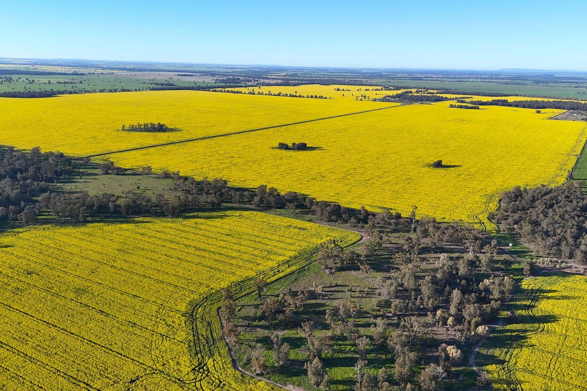 5510 Mid Western Highway, Caragabal For Sale by Farmbuy.com - image 10