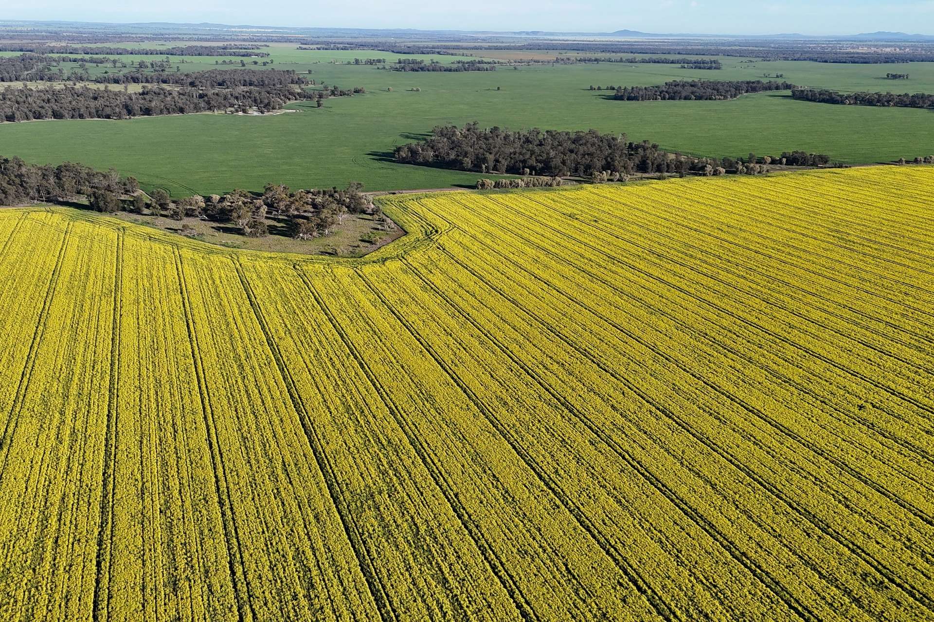 5510 Mid Western Highway, Caragabal For Sale by Farmbuy.com - image 15