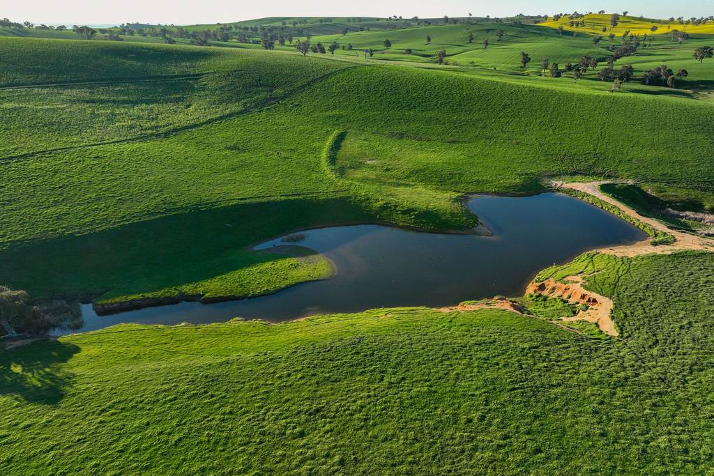 780 Pattersons Road, Wagga Wagga NSW 2650