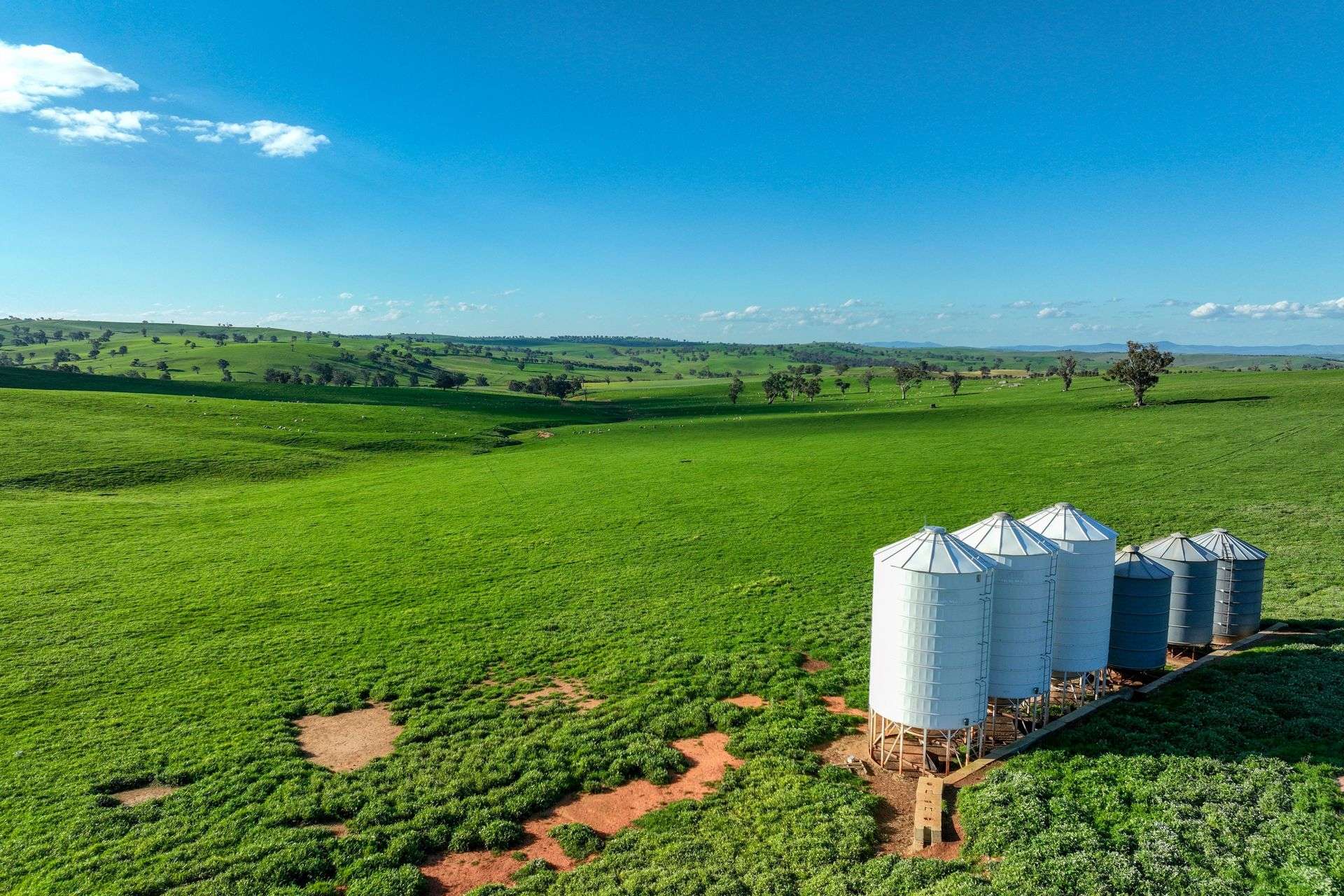 780 Pattersons Road, Wagga Wagga For Sale by Farmbuy.com - image 28