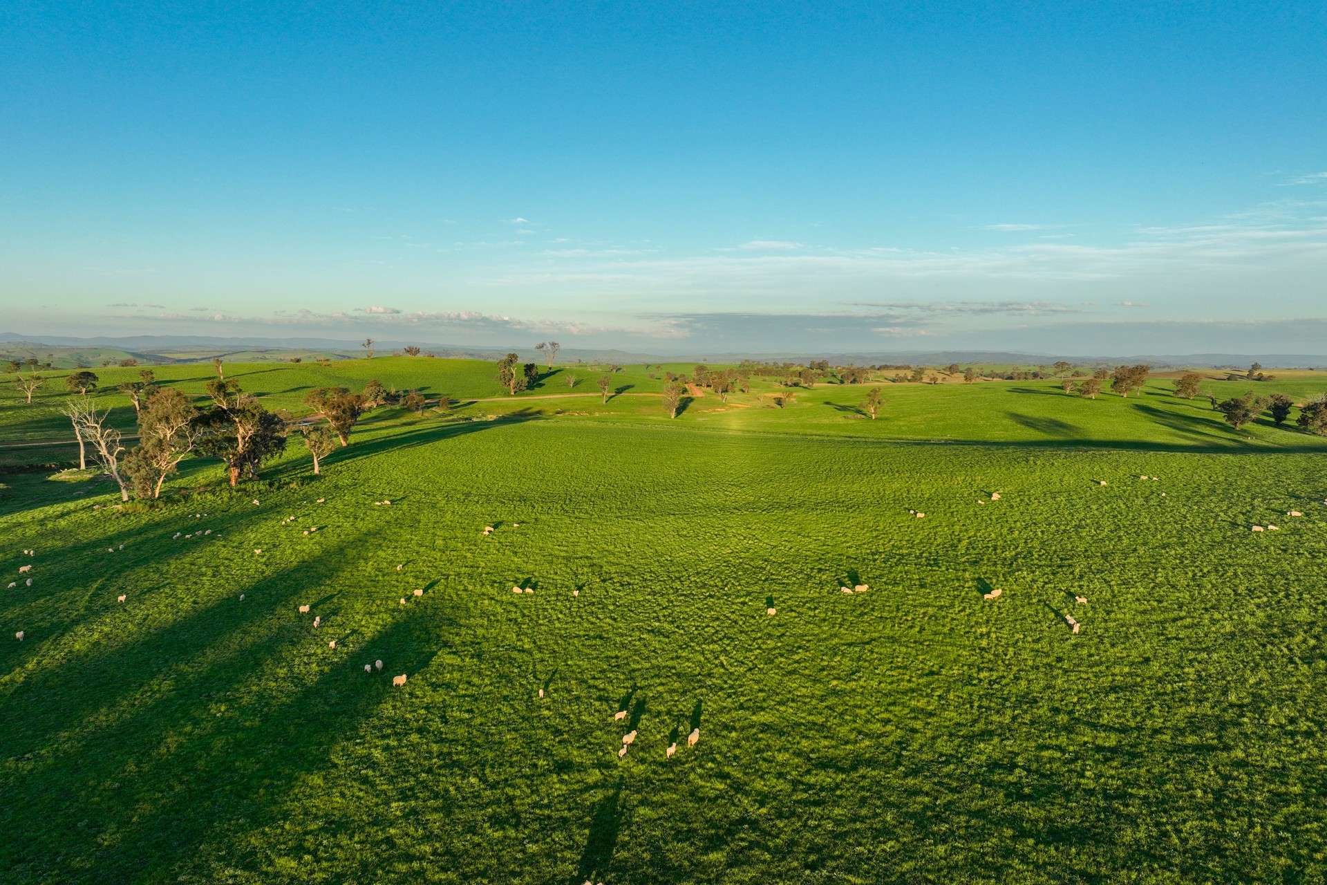 780 Pattersons Road, Wagga Wagga For Sale by Farmbuy.com - image 24