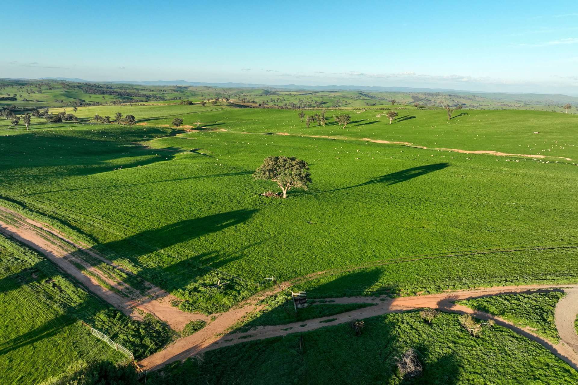 780 Pattersons Road, Wagga Wagga For Sale by Farmbuy.com - image 29