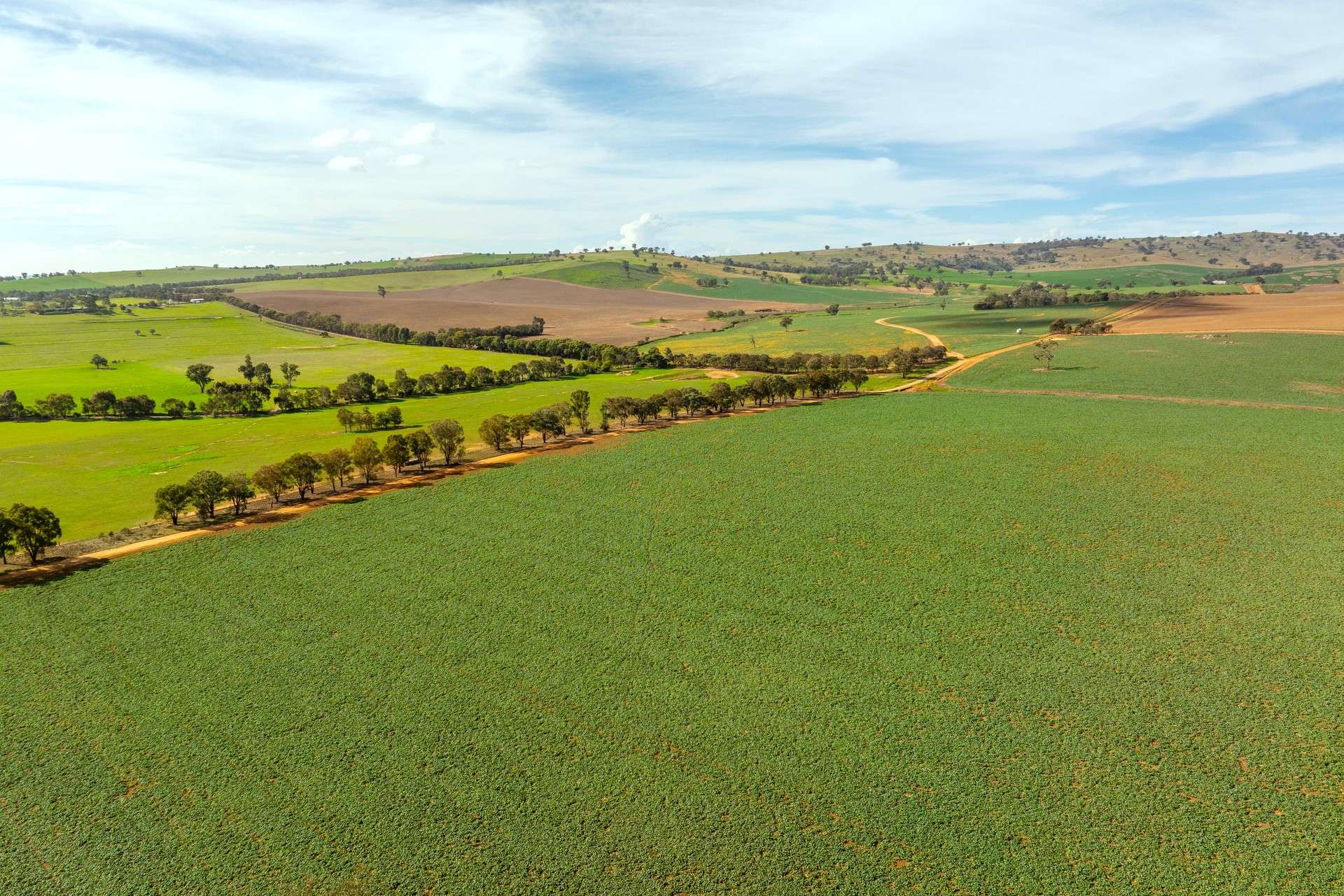 780 Pattersons Road, Wagga Wagga For Sale by Farmbuy.com - image 3