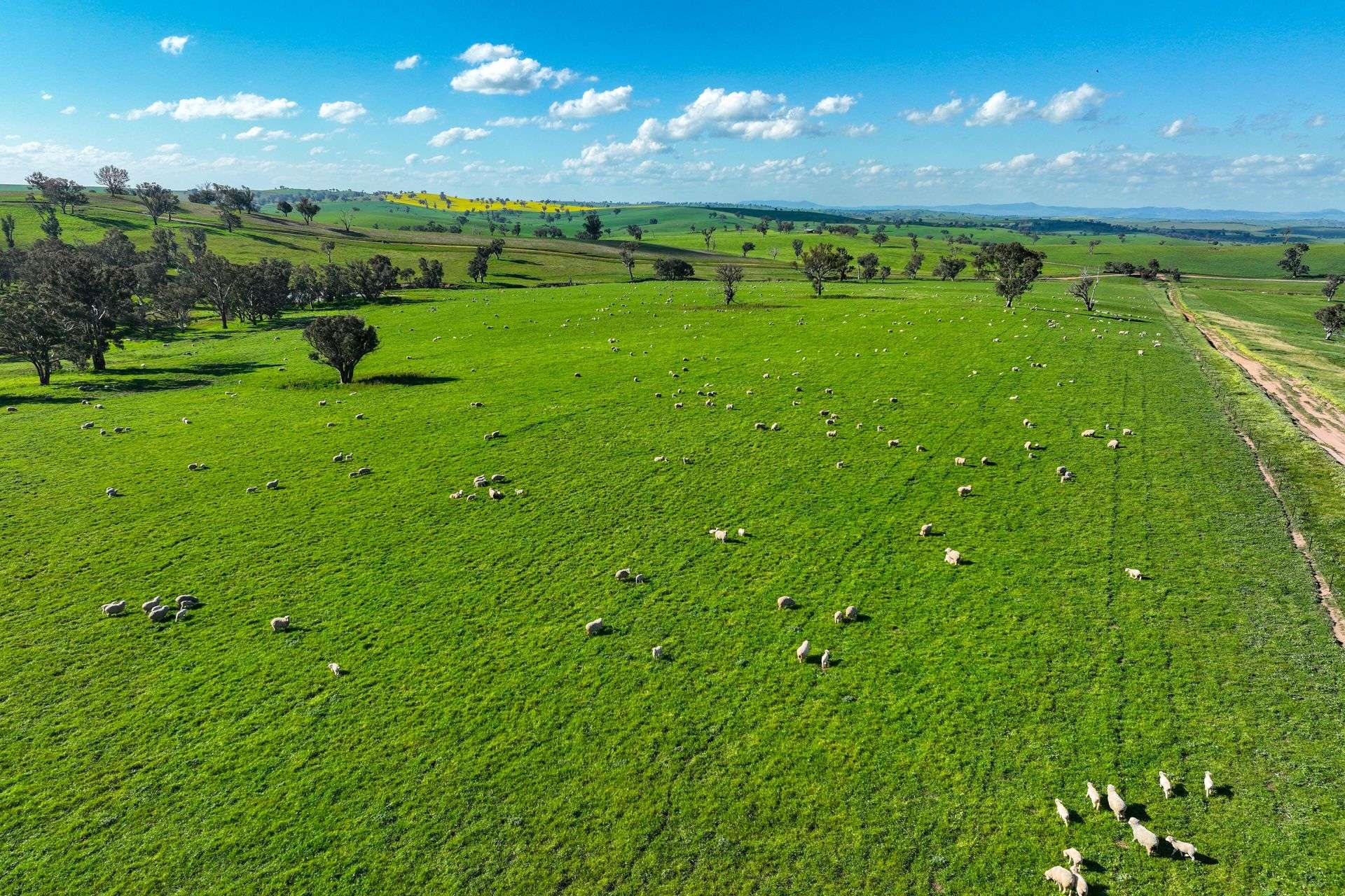 780 Pattersons Road, Wagga Wagga For Sale by Farmbuy.com - image 12