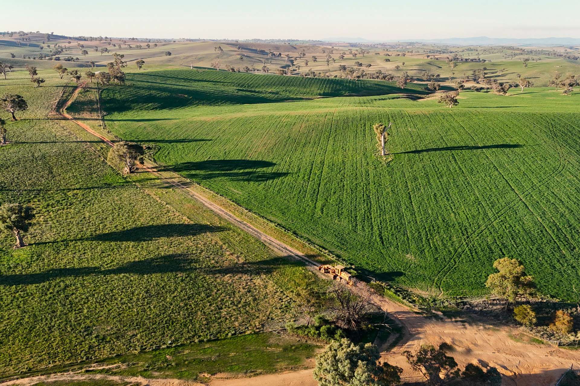 780 Pattersons Road, Wagga Wagga For Sale by Farmbuy.com - image 7