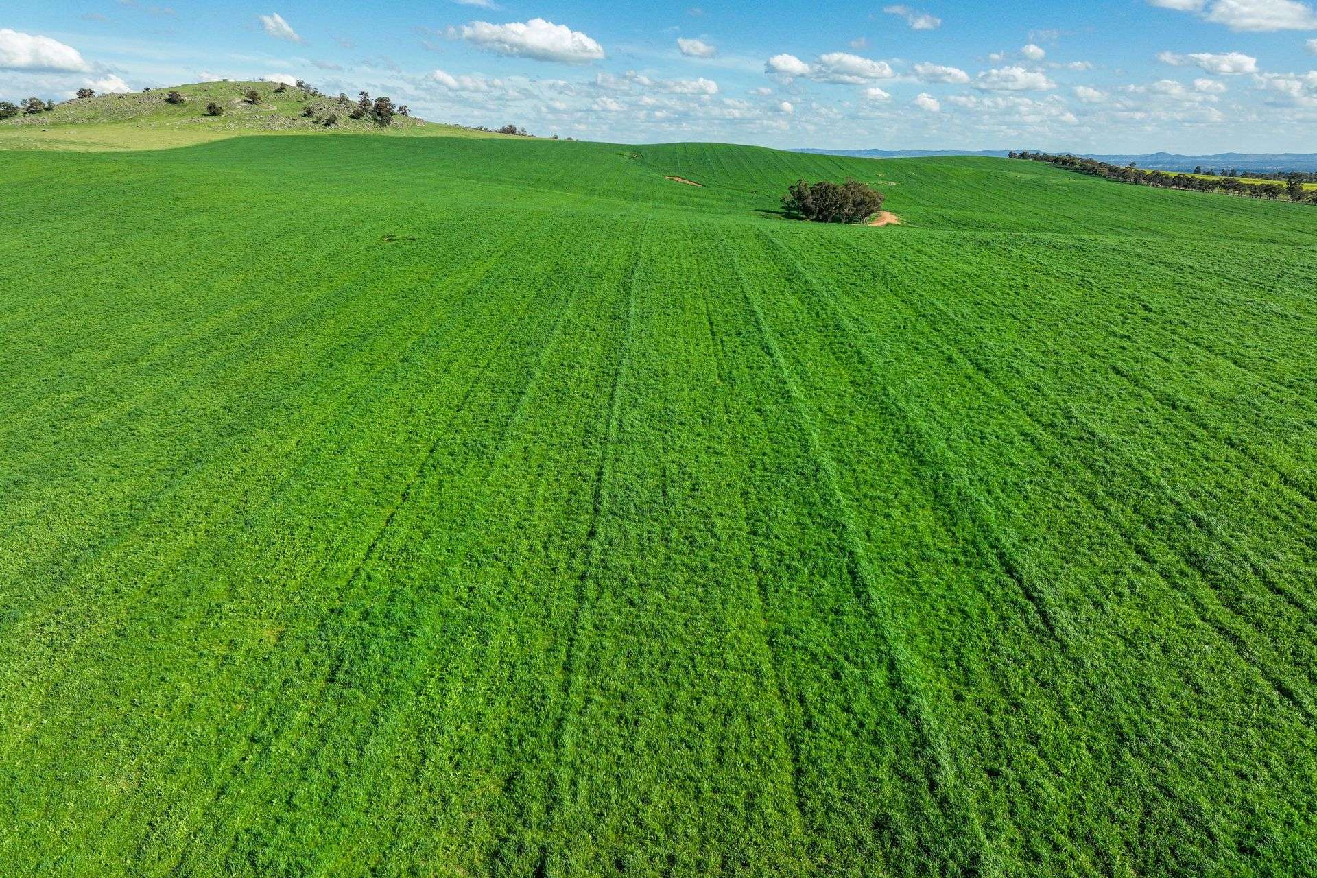 780 Pattersons Road, Wagga Wagga For Sale by Farmbuy.com - image 5