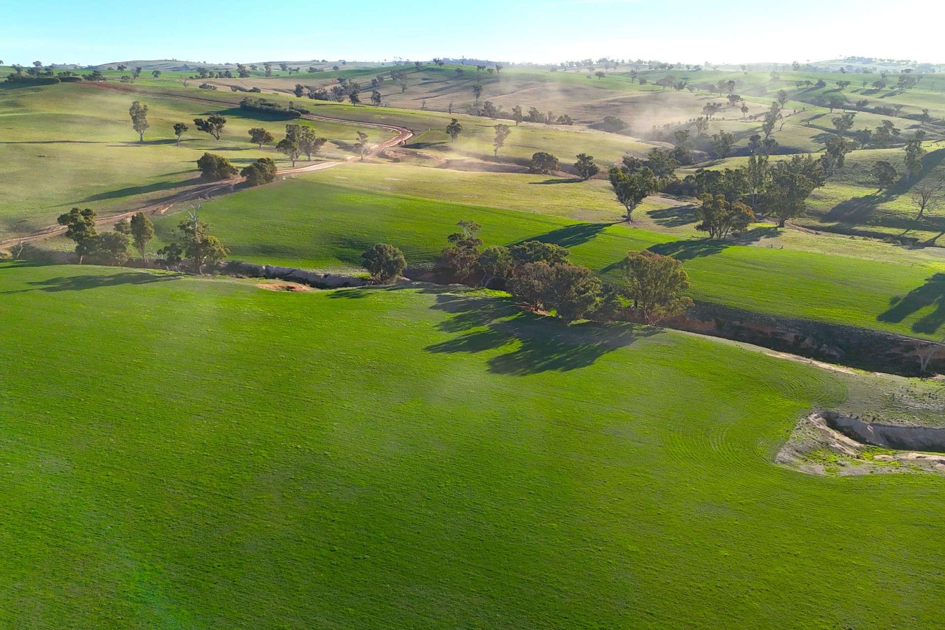780 Pattersons Road, Wagga Wagga For Sale by Farmbuy.com - image 22