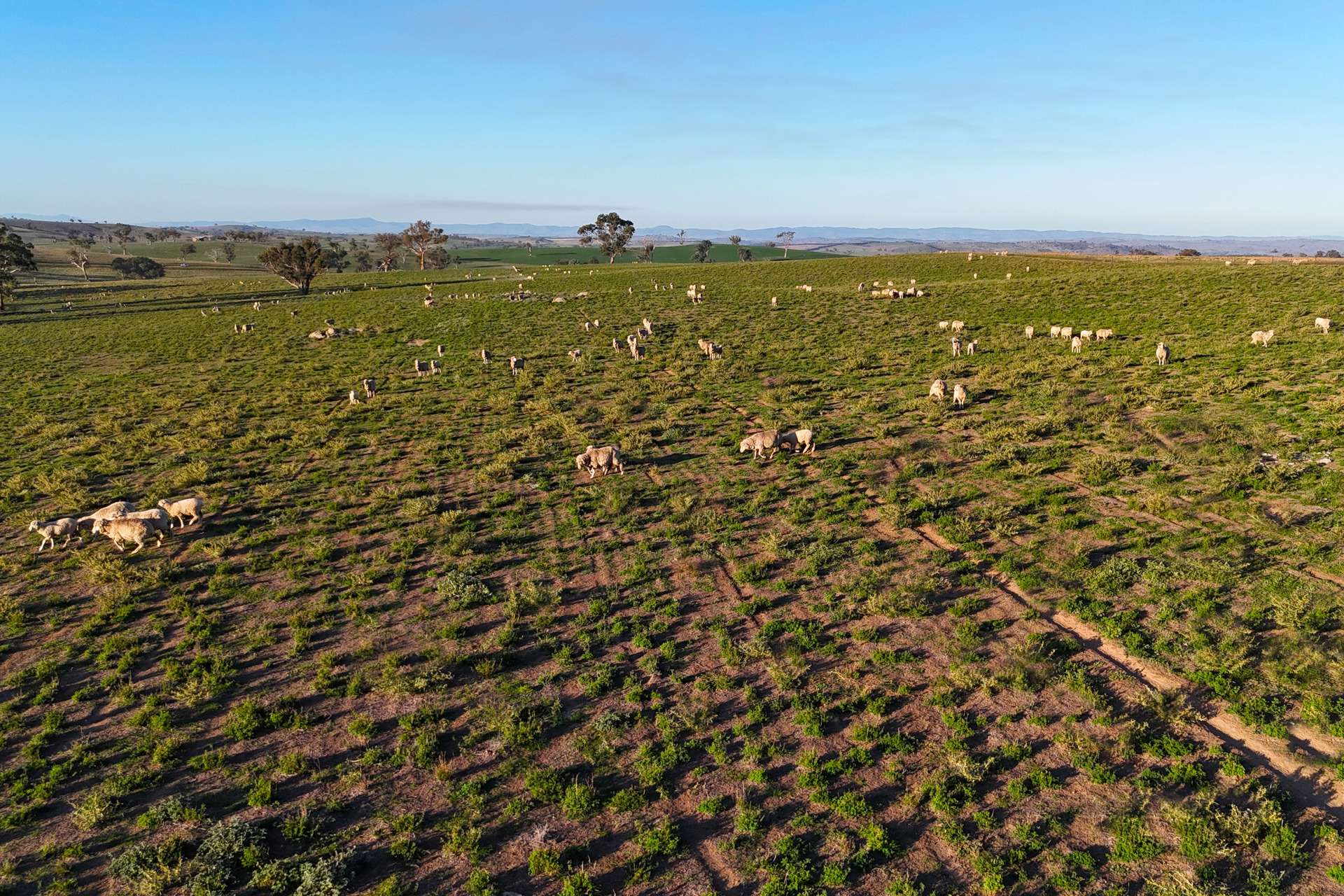 780 Pattersons Road, Wagga Wagga For Sale by Farmbuy.com - image 10