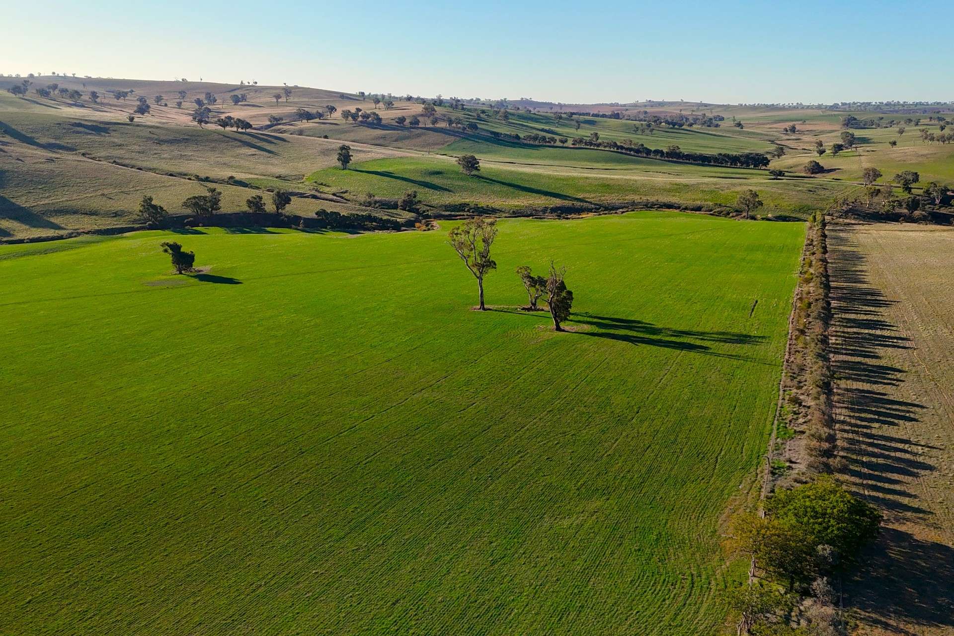 780 Pattersons Road, Wagga Wagga For Sale by Farmbuy.com - image 2