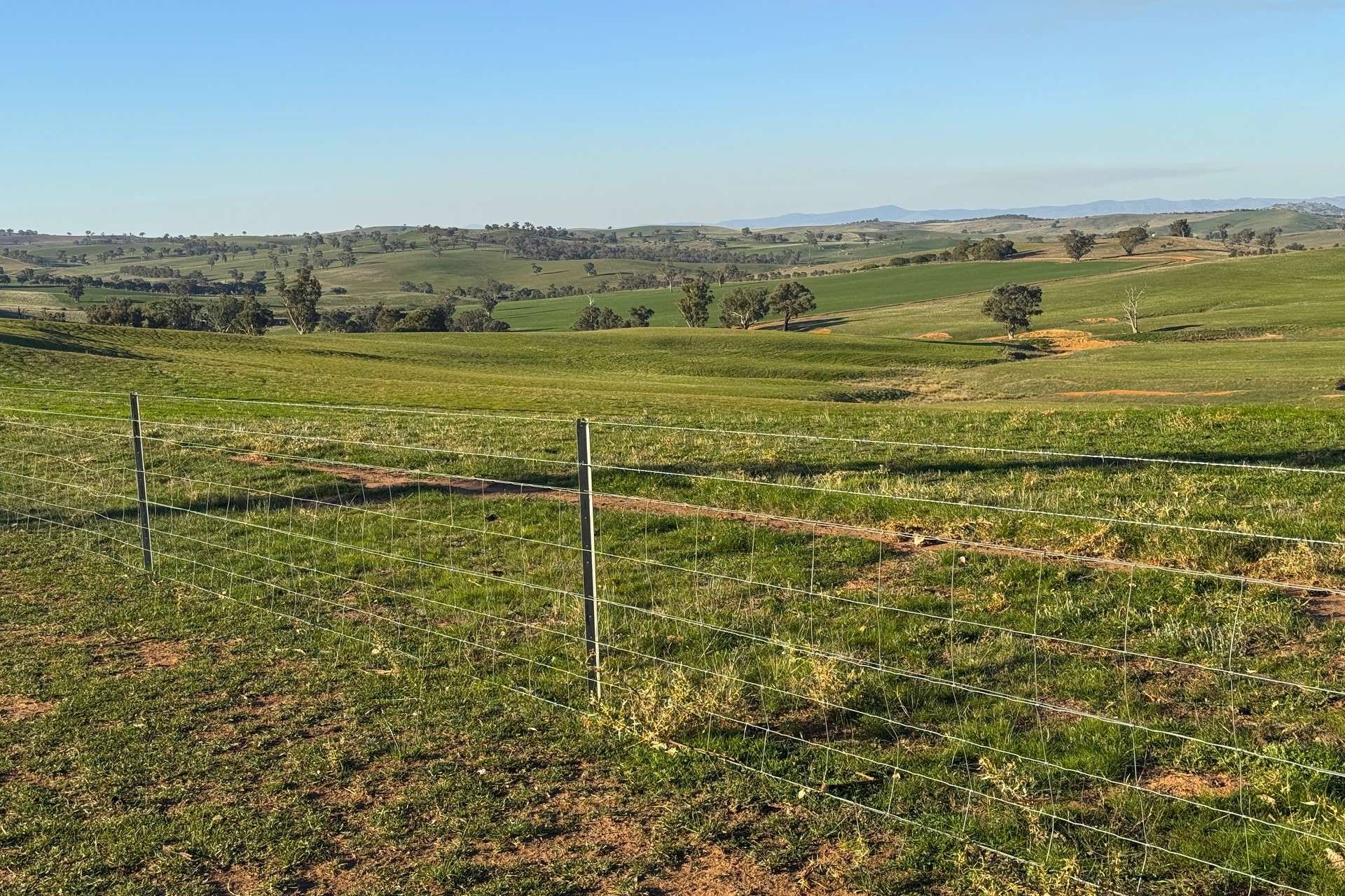 780 Pattersons Road, Wagga Wagga For Sale by Farmbuy.com - image 8