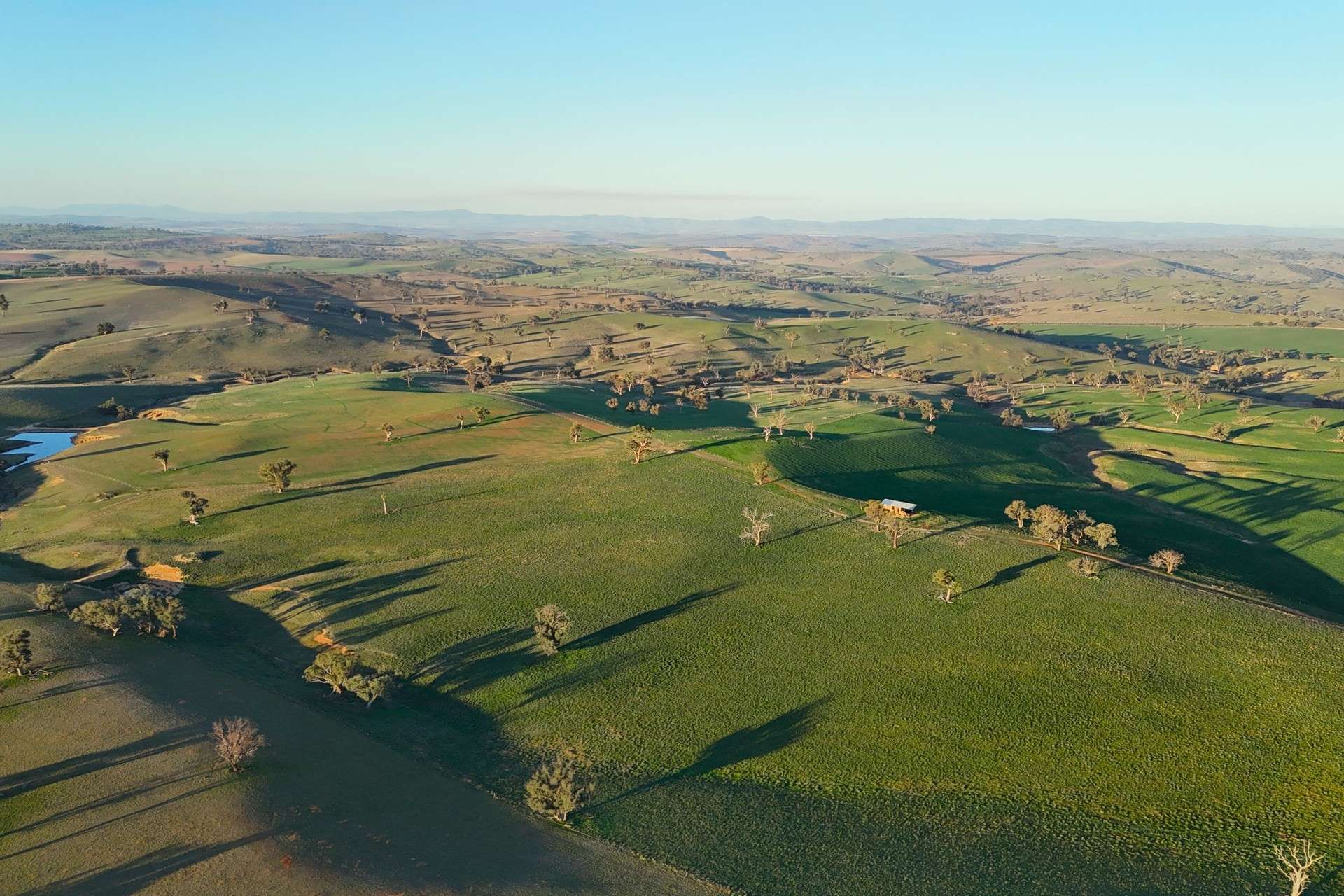 780 Pattersons Road, Wagga Wagga For Sale by Farmbuy.com - image 6