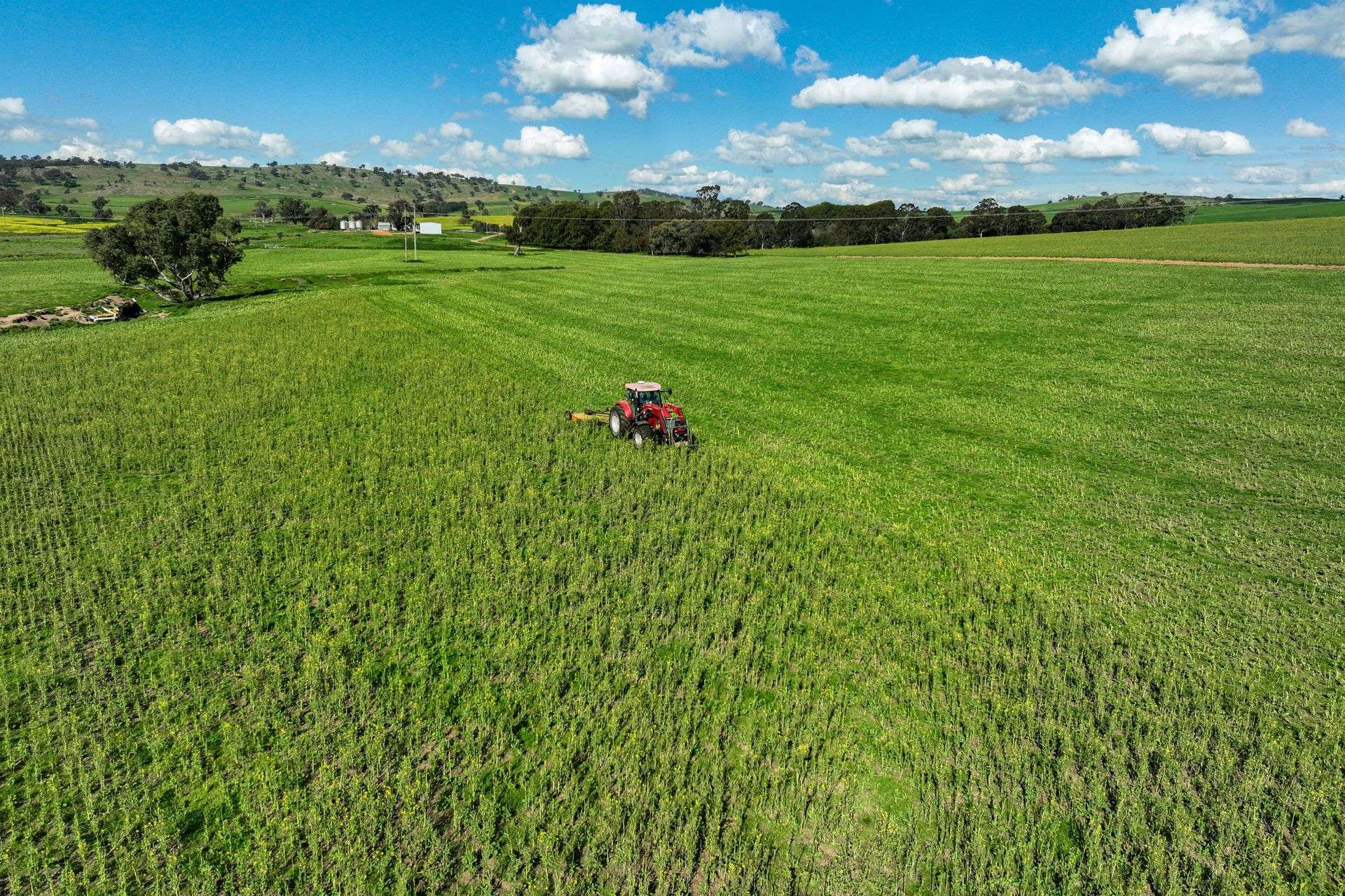 780 Pattersons Road, Wagga Wagga For Sale by Farmbuy.com - image 15