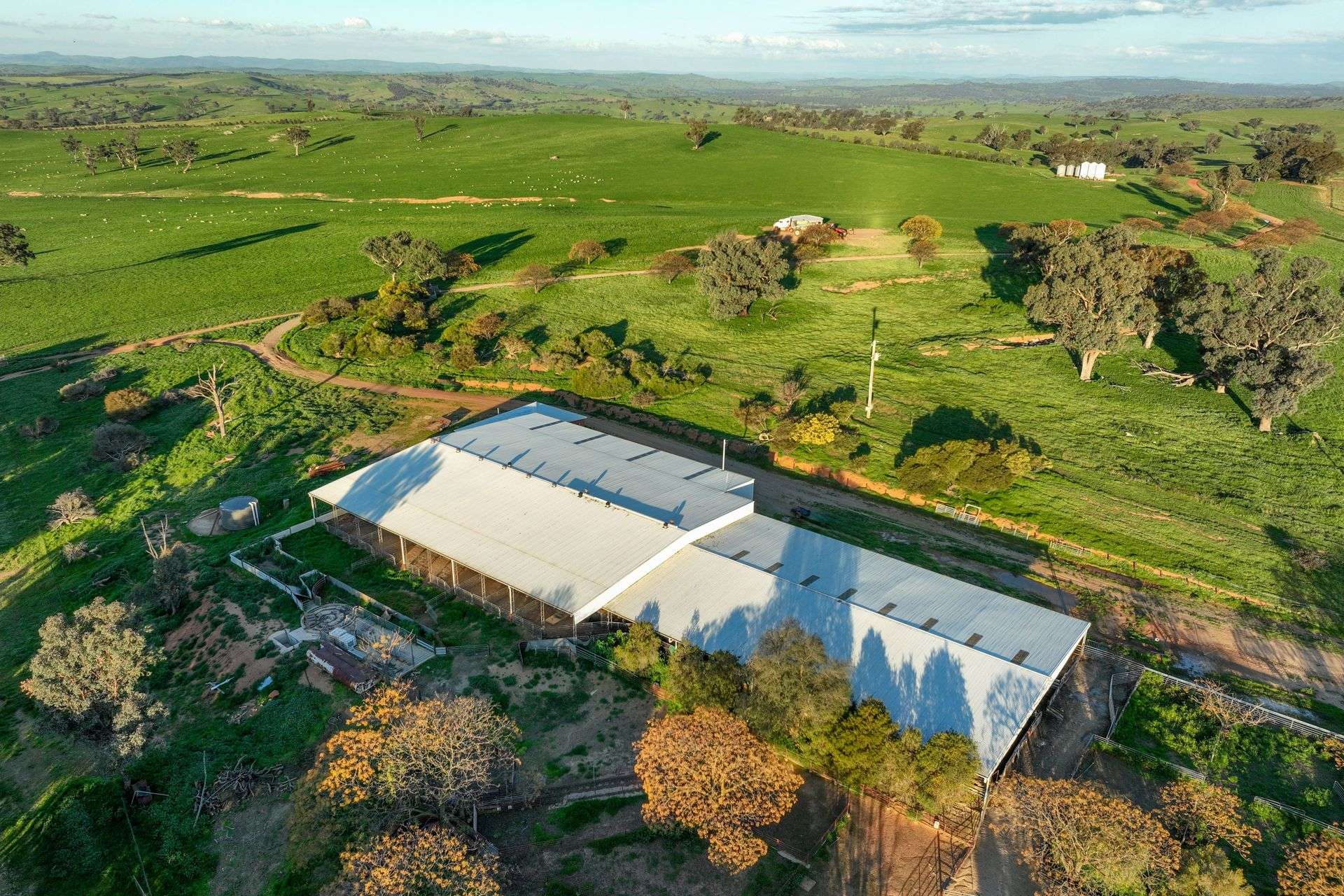 780 Pattersons Road, Wagga Wagga For Sale by Farmbuy.com - image 2