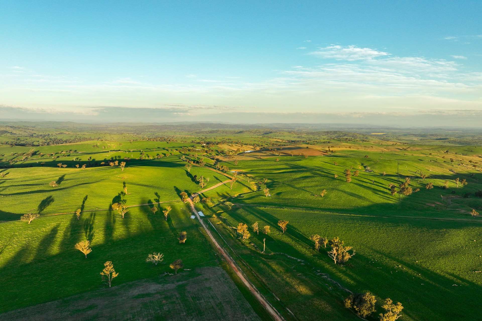 780 Pattersons Road, Wagga Wagga For Sale by Farmbuy.com - image 23