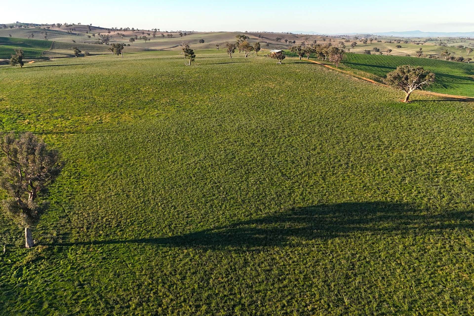 780 Pattersons Road, Wagga Wagga For Sale by Farmbuy.com - image 9