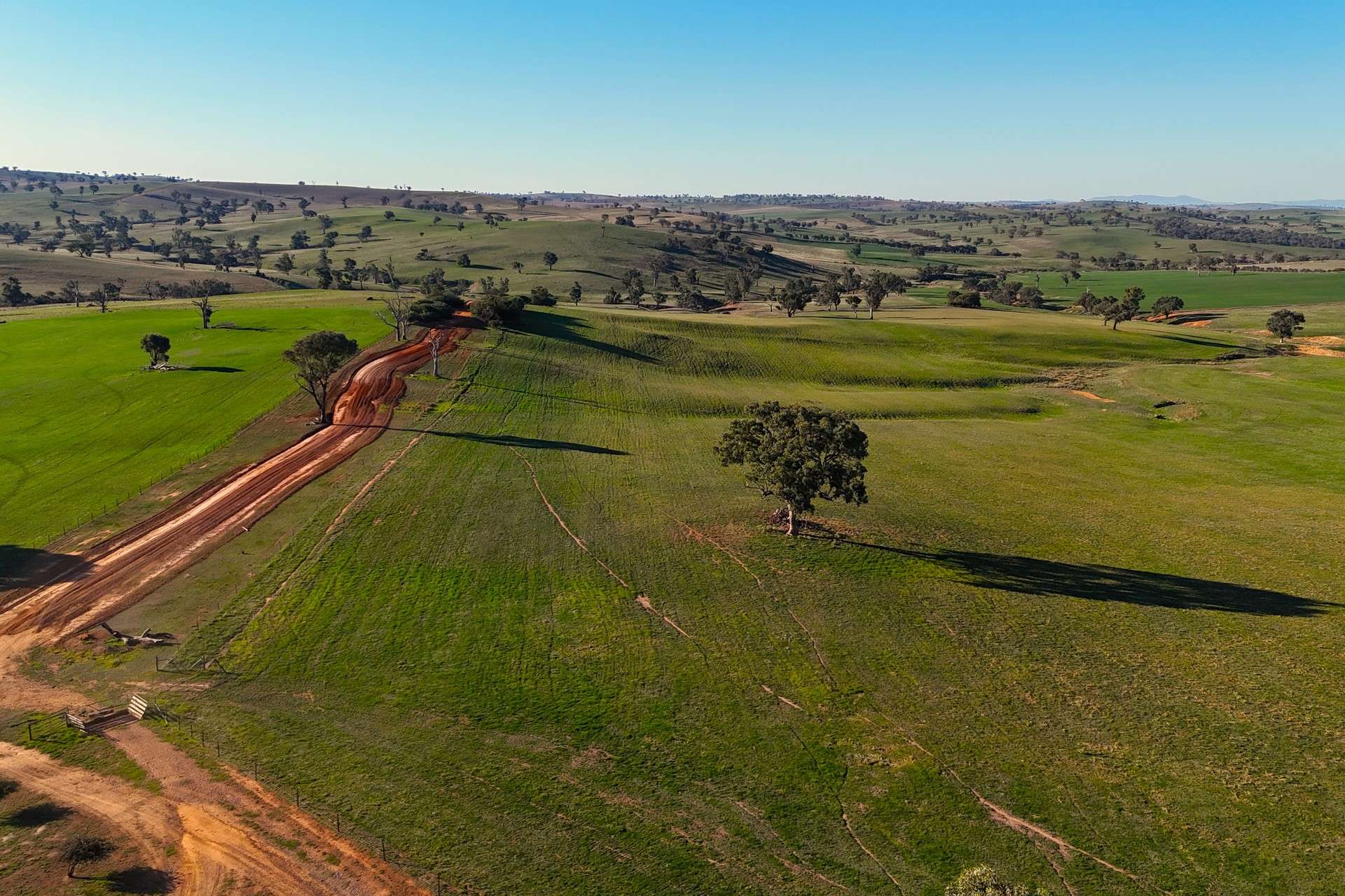 780 Pattersons Road, Wagga Wagga For Sale by Farmbuy.com - image 23