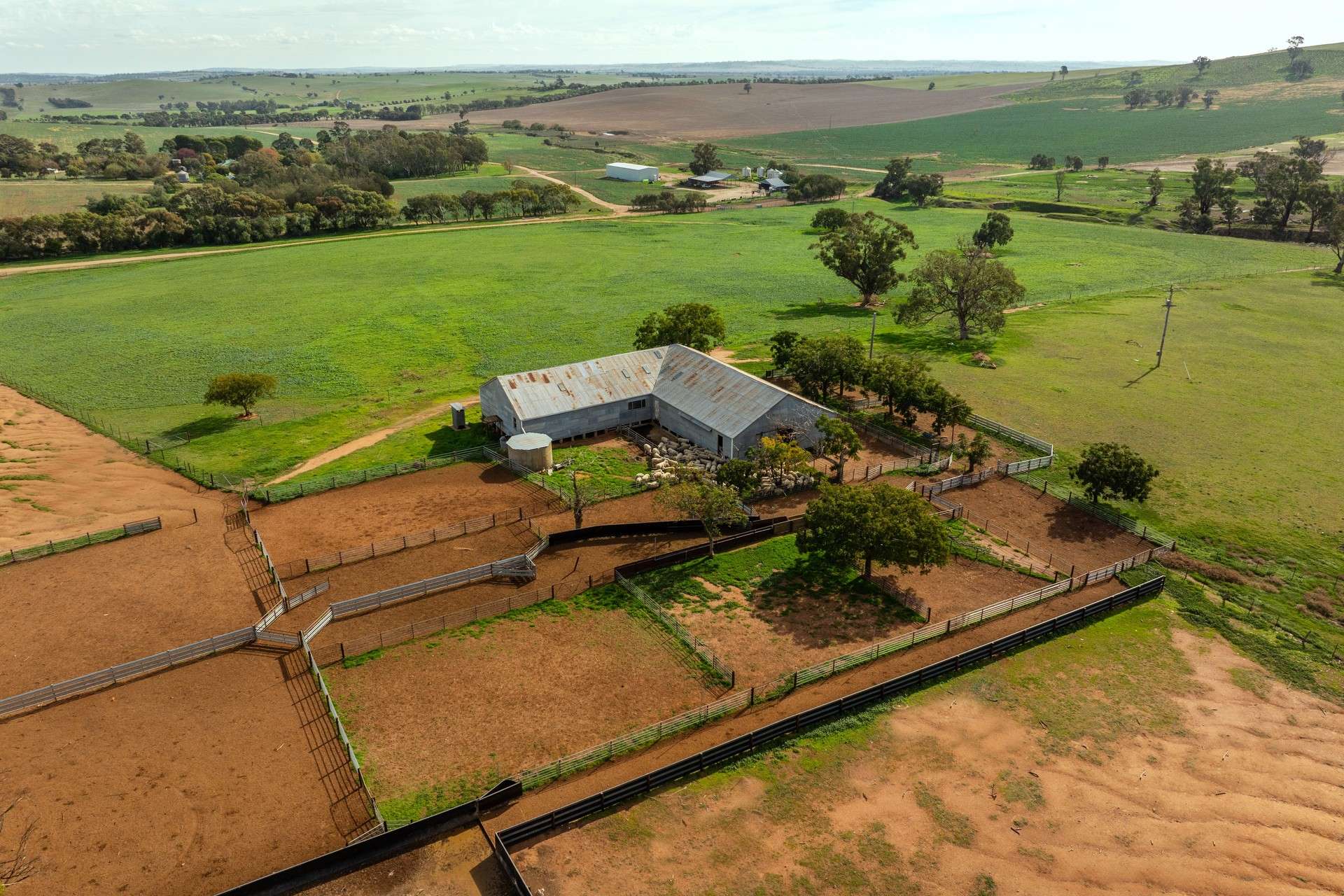 780 Pattersons Road, Wagga Wagga For Sale by Farmbuy.com - image 5