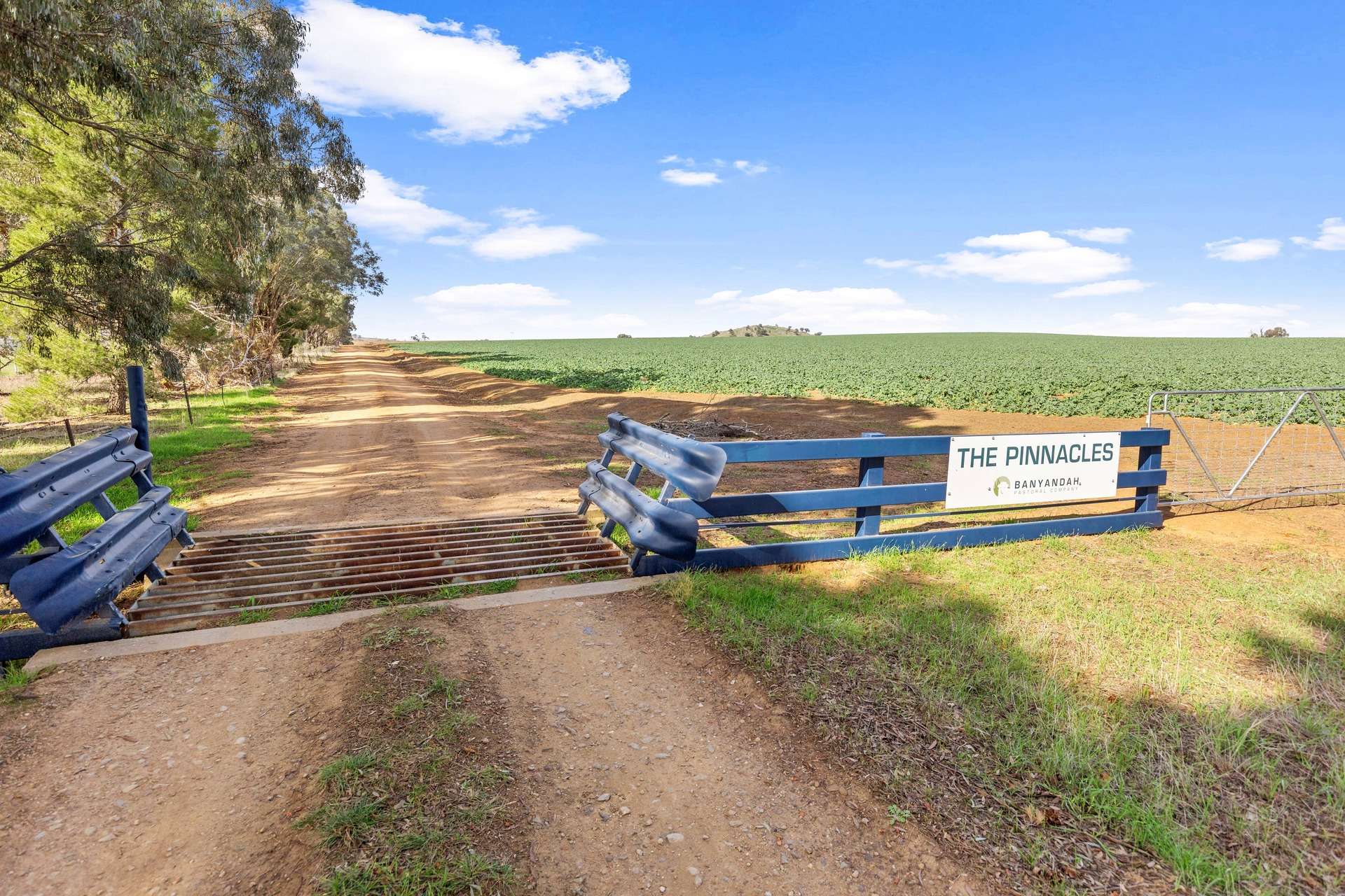 780 Pattersons Road, Wagga Wagga For Sale by Farmbuy.com - image 16
