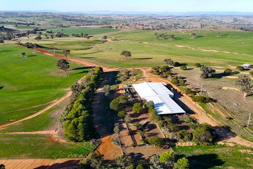 Farm For Sale - NSW - Wagga Wagga - 2650 - Scale, Versatility & Productive Capability in the Eastern Riverina 