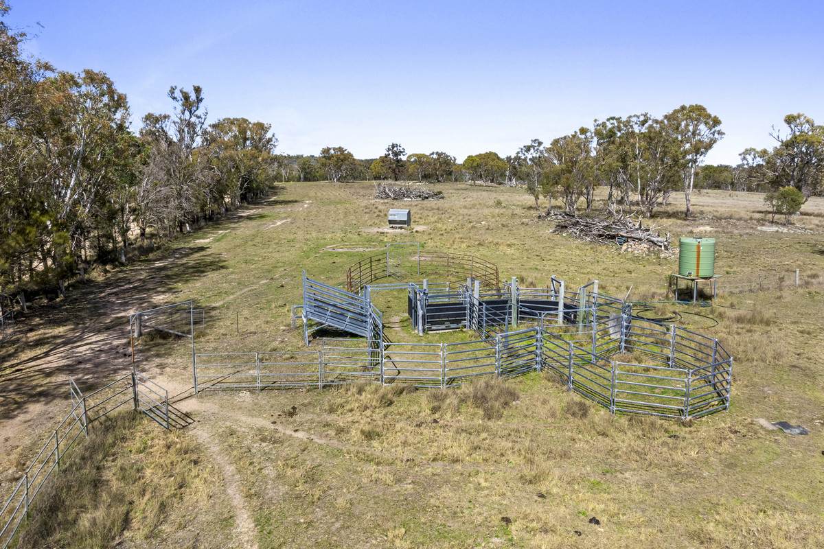 1953 Rabbit Fence Road, Dalveen For Sale by Farmbuy.com - image 13
